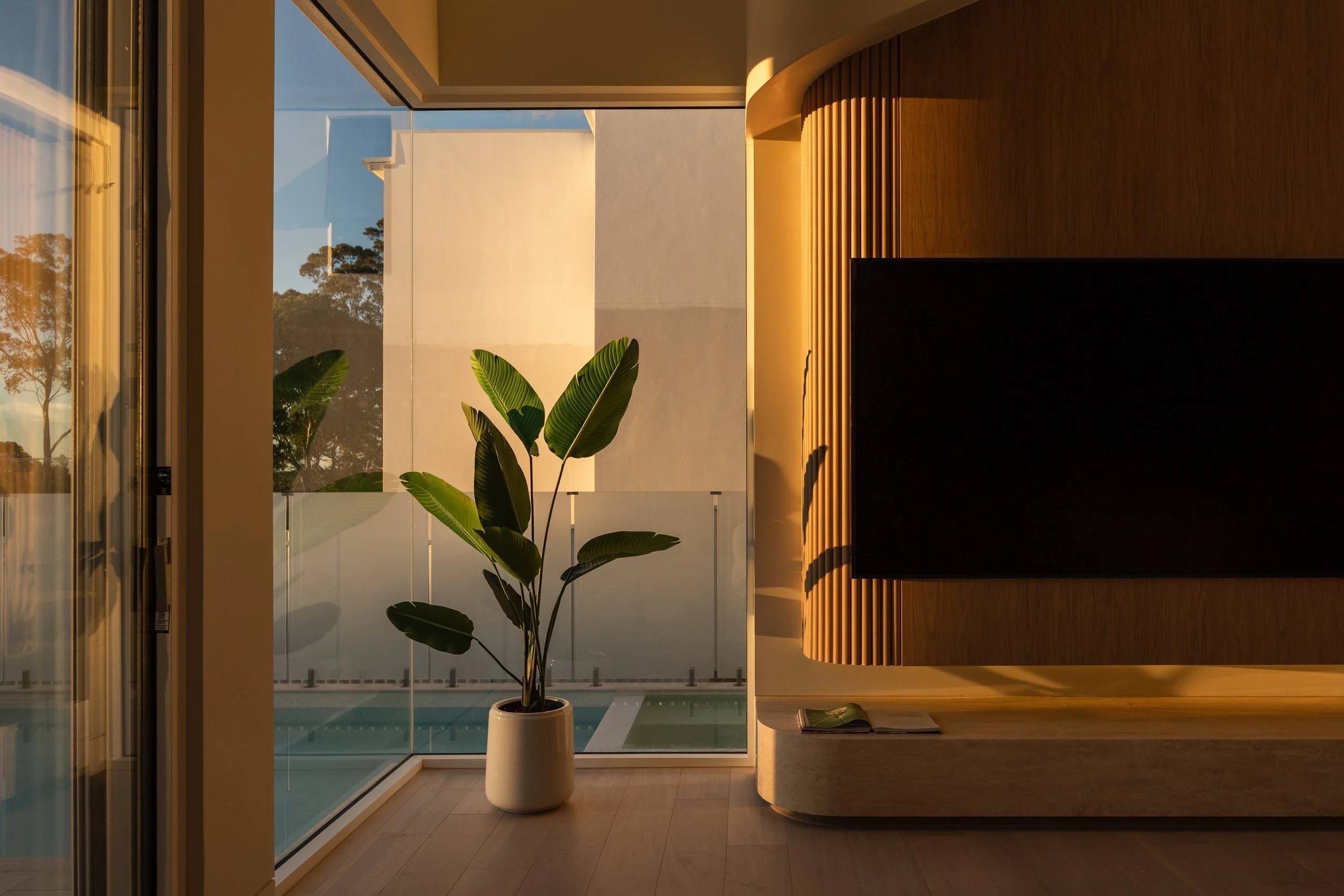 Interior view of a modern room with a large potted plant and a glass door leading to a balcony, with trees visible outside, during sunset.