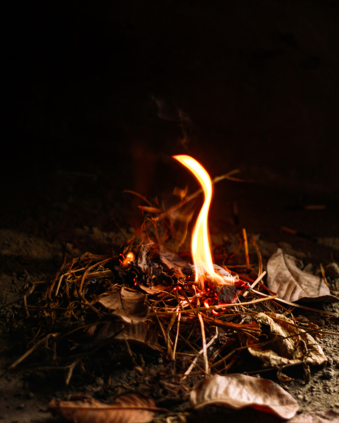 Community Fire Ceremony