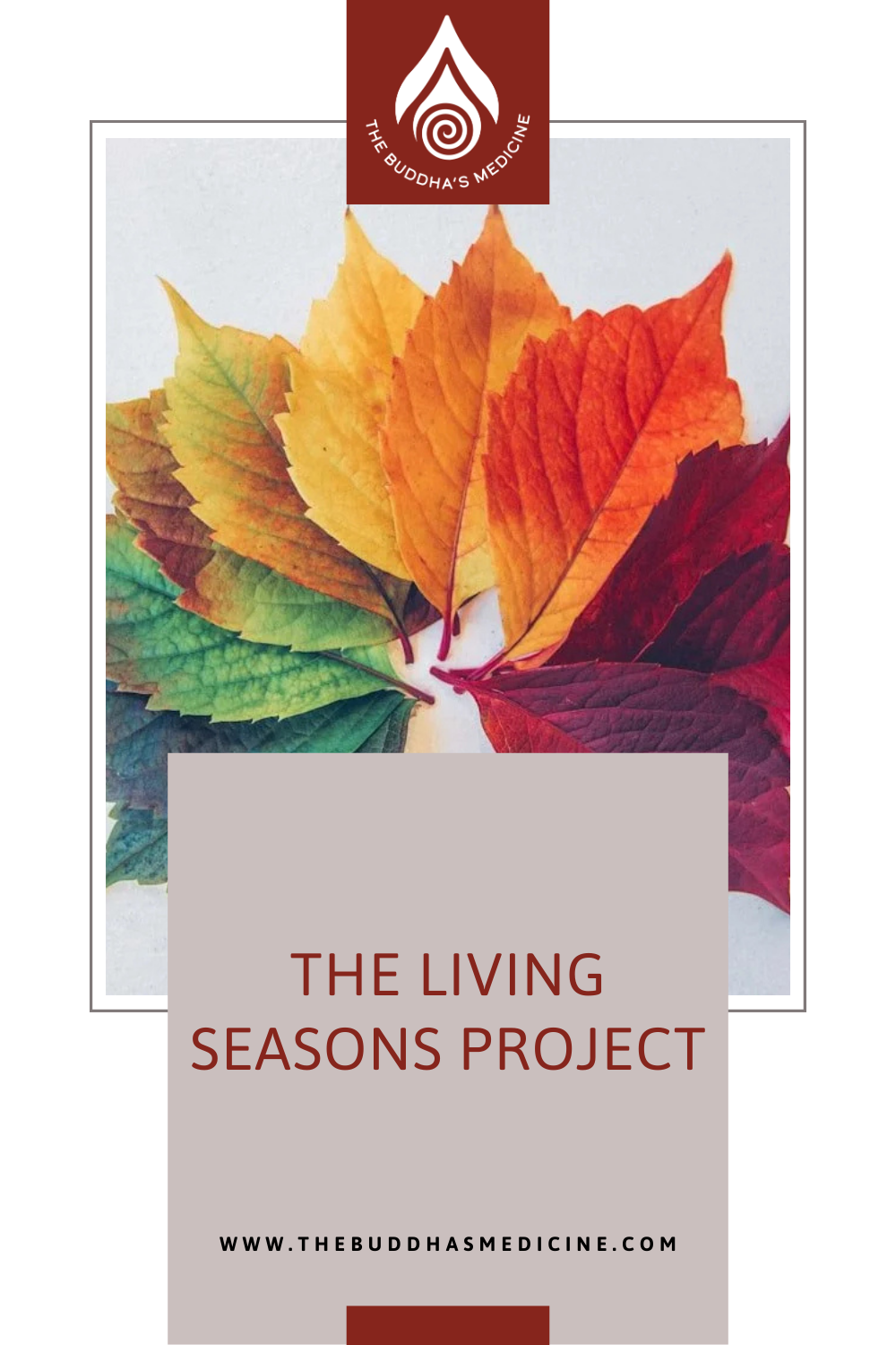The Living Seasons Project - The Buddha's Medicine