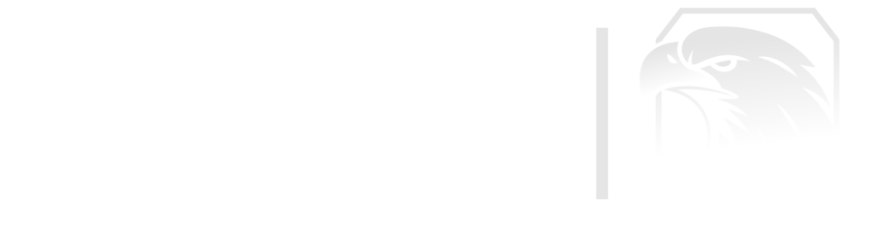 MA1 Security &amp; Investigative Services