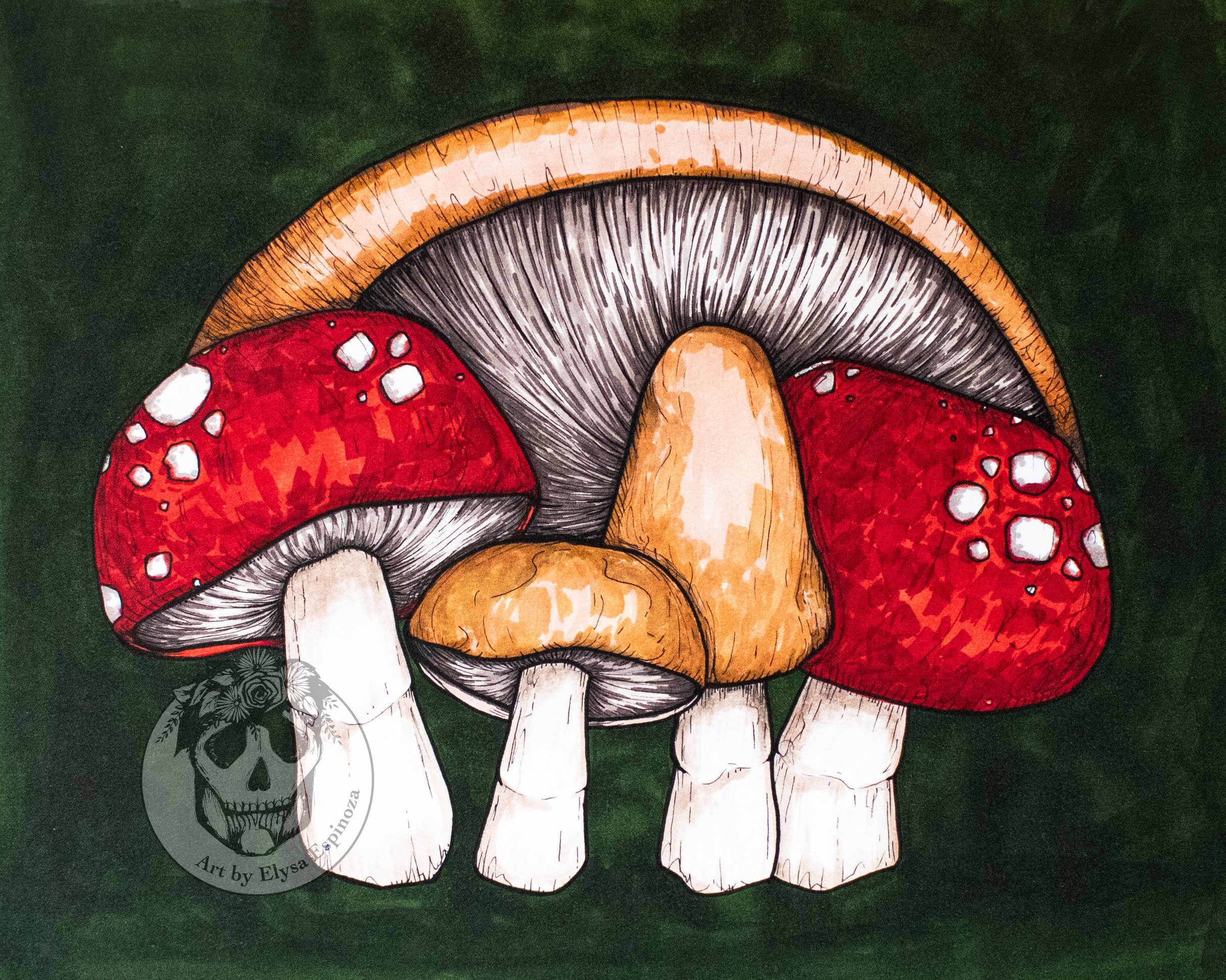 solsticeshrooms-withwatermark.jpg