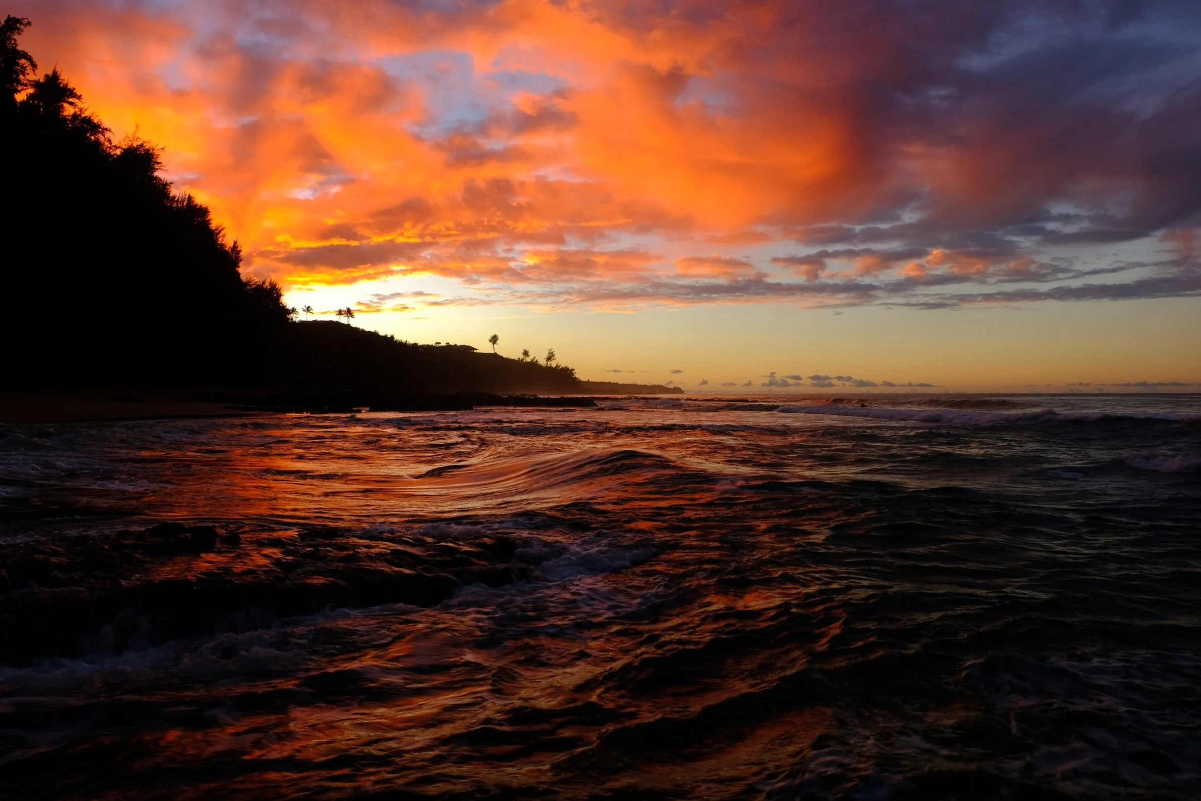 Kauai+2022+146.jpg