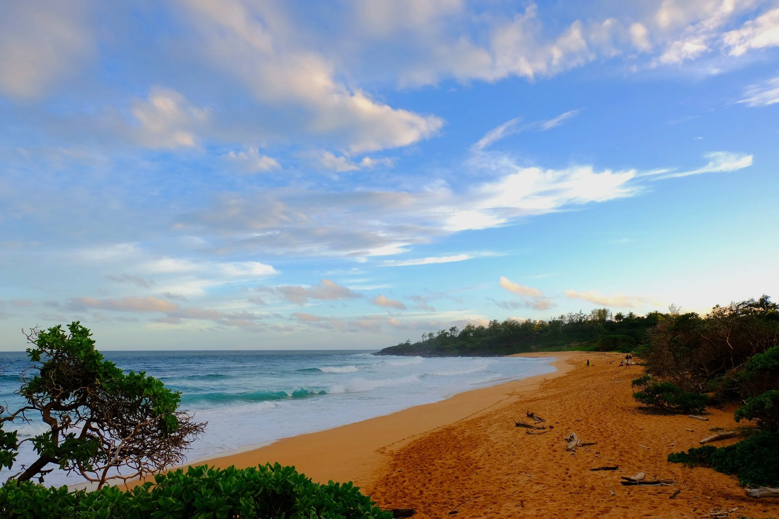 Kauai%25202022%2520070.jpg