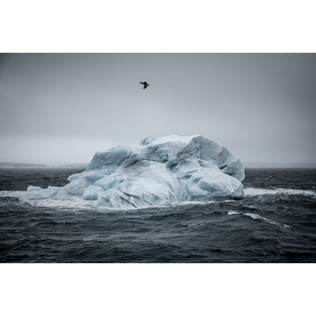 image_original_7215ee9c7d9dc229d2921a40e899ec5f.png