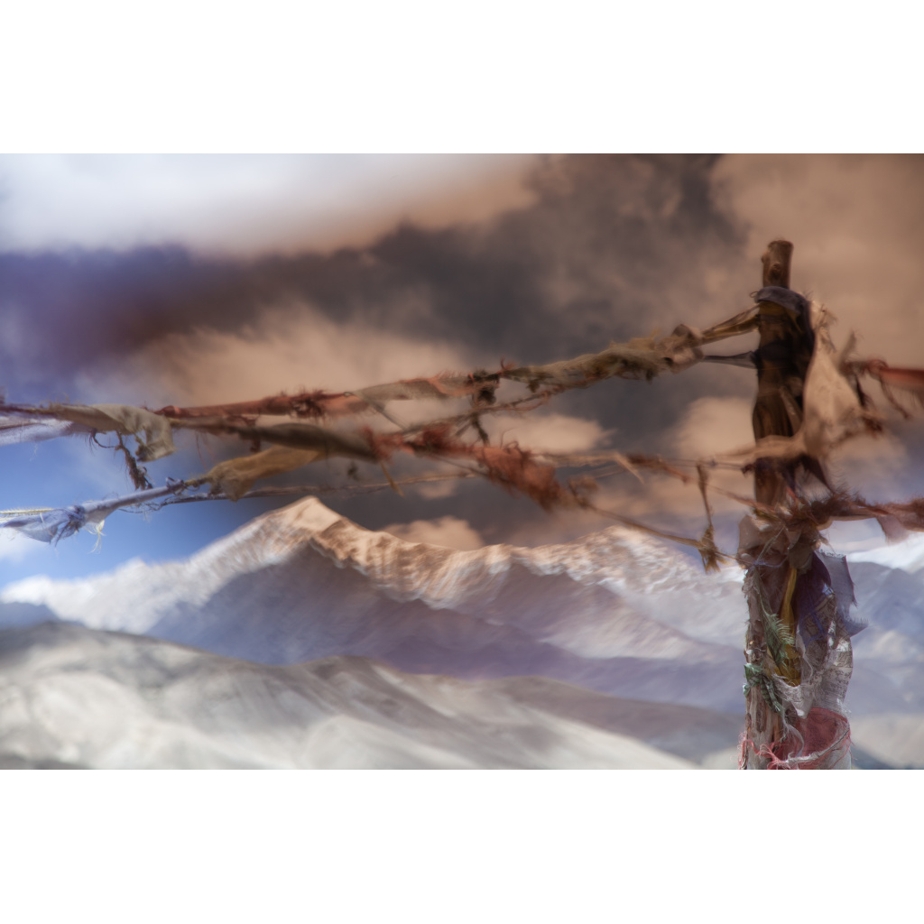 image_original_7215ee9c7d9dc229d2921a40e899ec5f.png