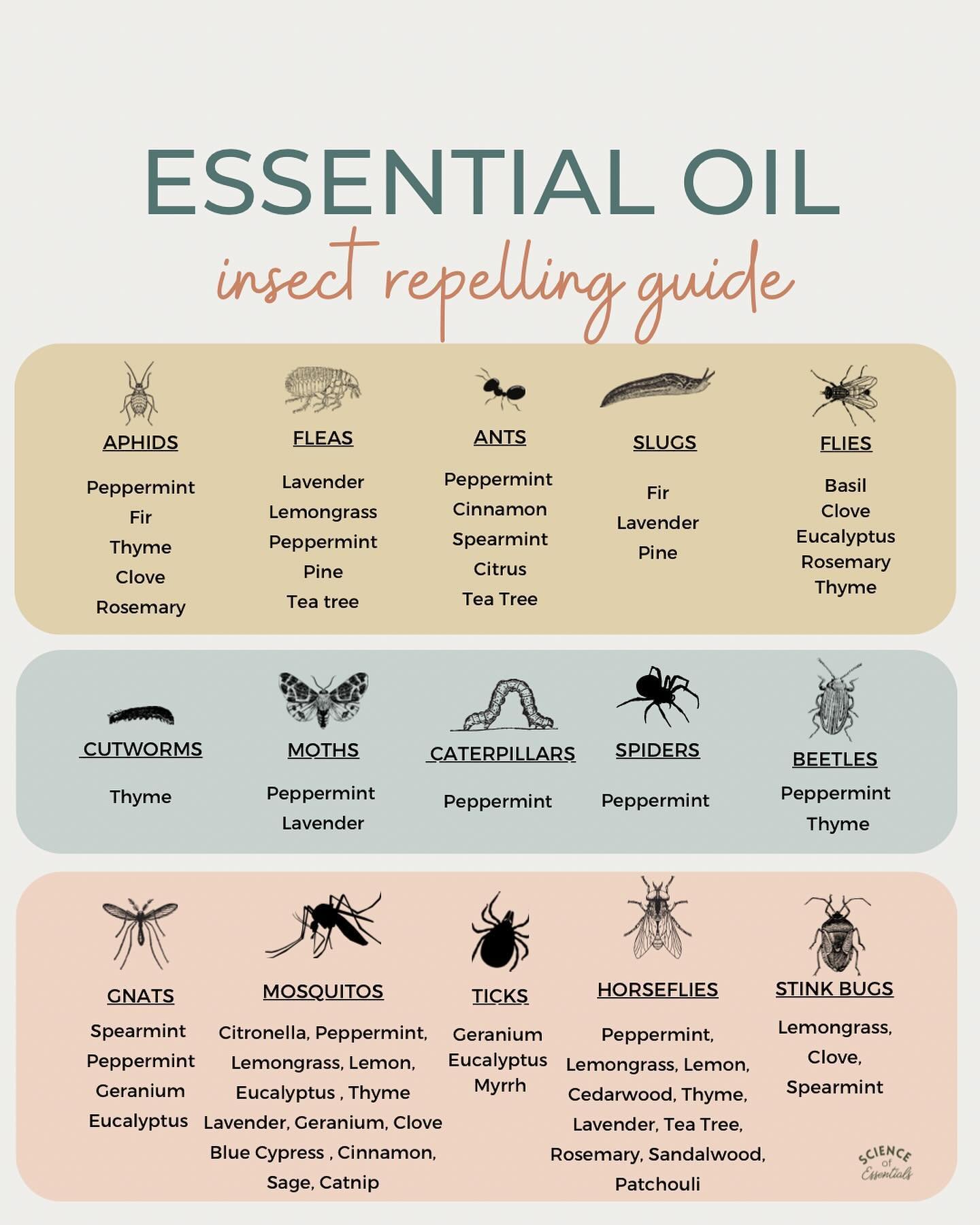 If your spring is full of weeding or wild adventures, I hope this guide helps you! Scroll left for some fun resources and recipes.

Does anyone else agree that the bugs are in full force this year?
.
.
.
.
..
.
.
.

#essentialoils #holistic #scienceo