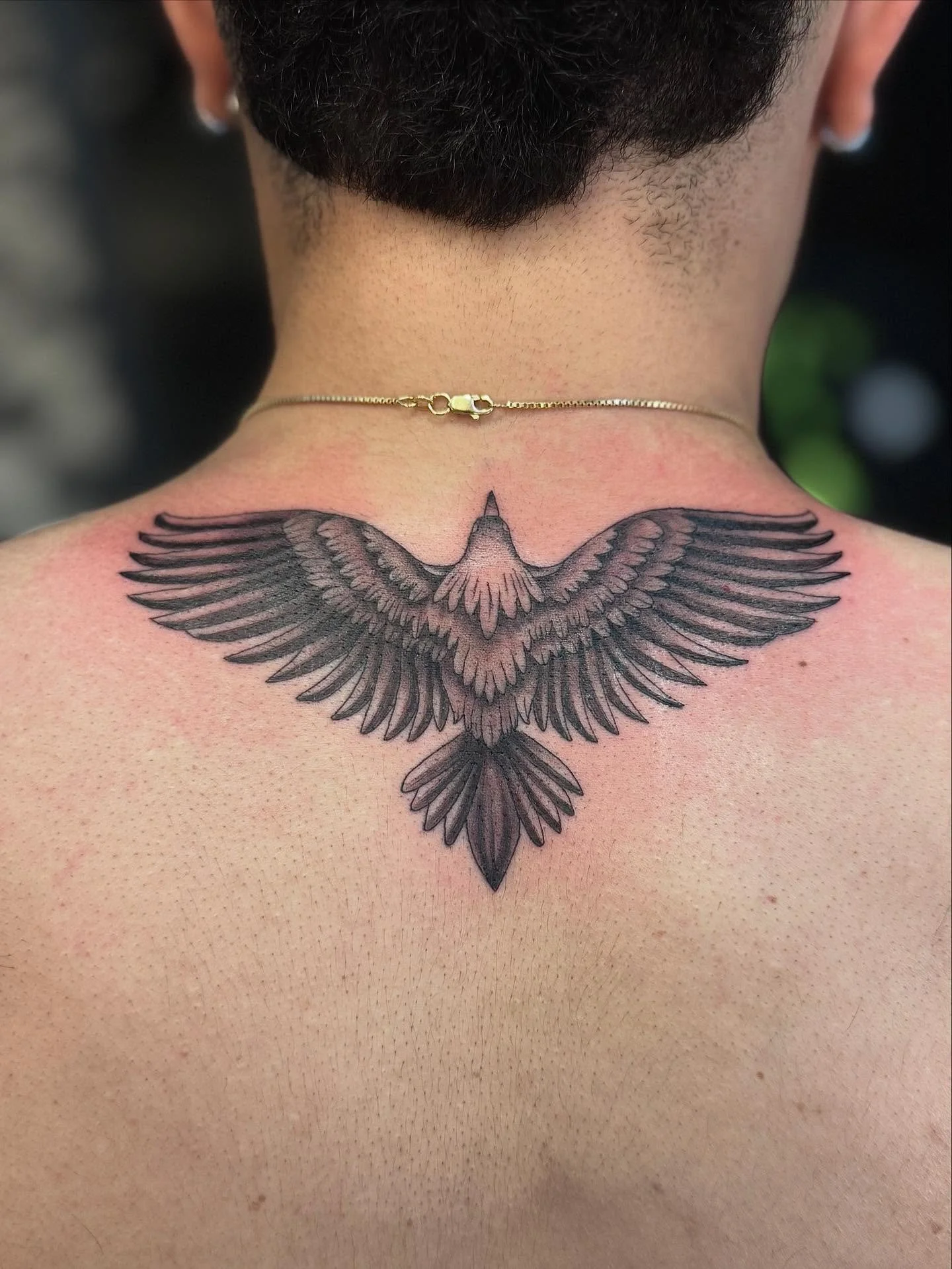 eagle tattoo
.
.
.
#tattoo #tattooideas #birsfelden #basel #switzerland #eagletattoo