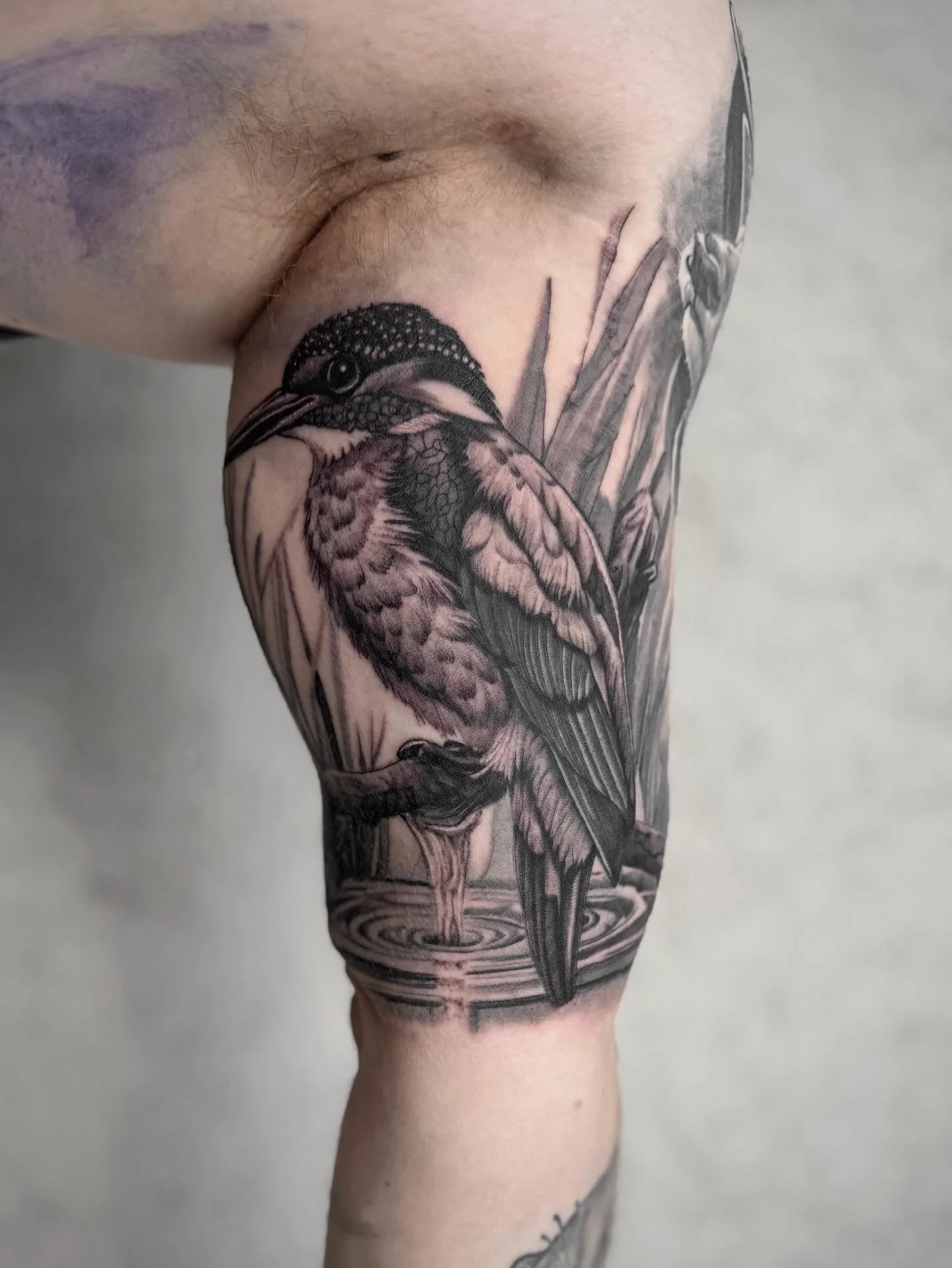 Bird
.
.
.
#tattoo #birsfelden #basel