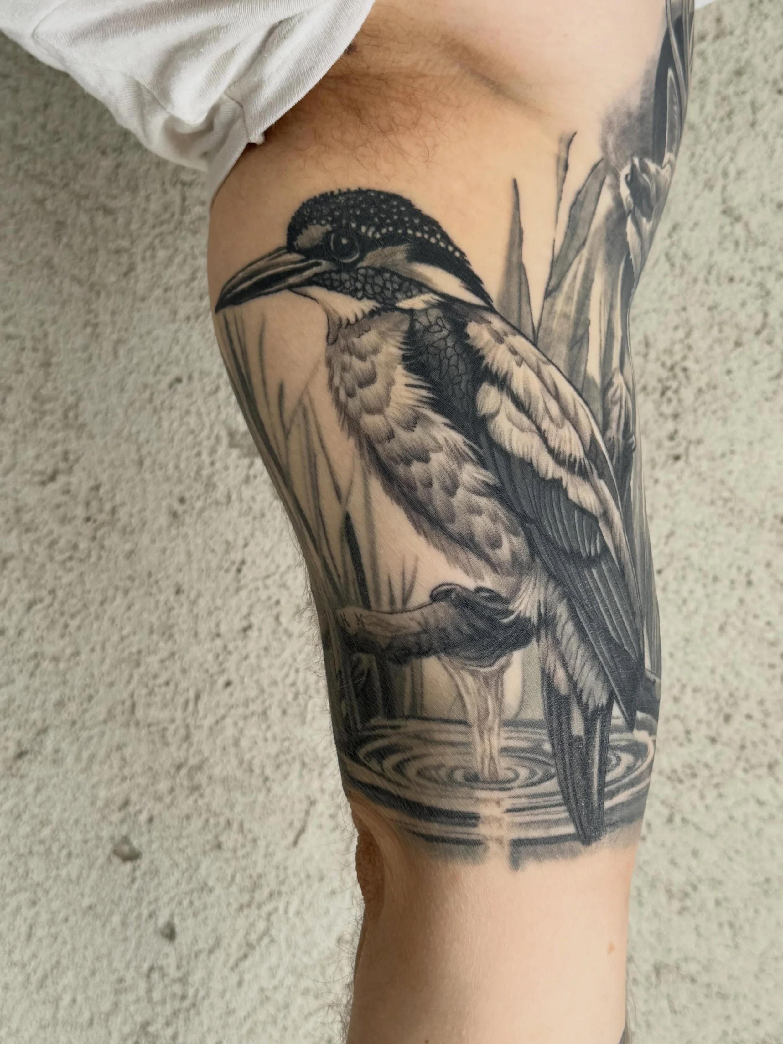 Healed vs Fresh
My tattoo course available in bio🔗
.
.
.
#panthertattoo #tattoo #basel