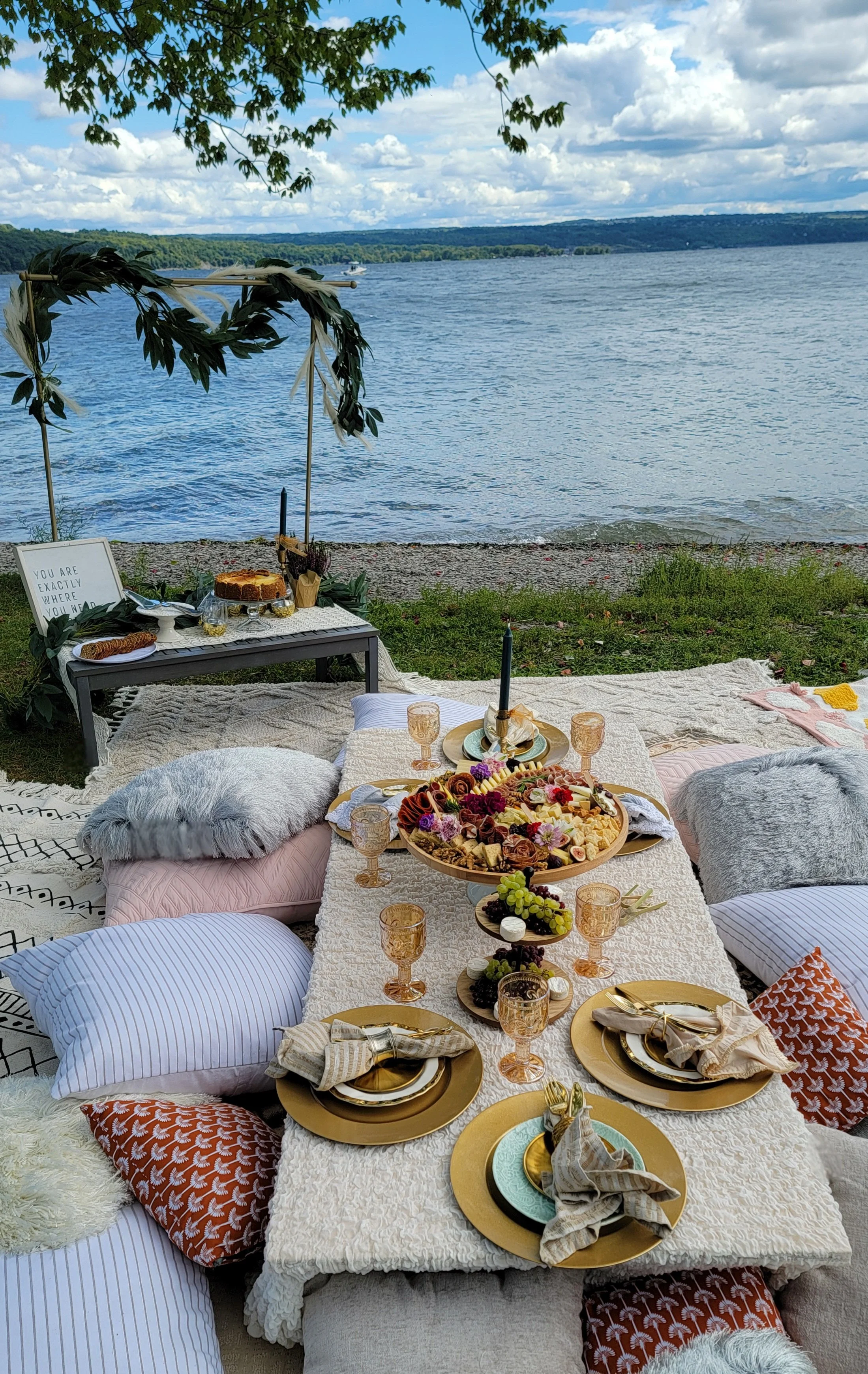 romantic picnic with a masculine feel,