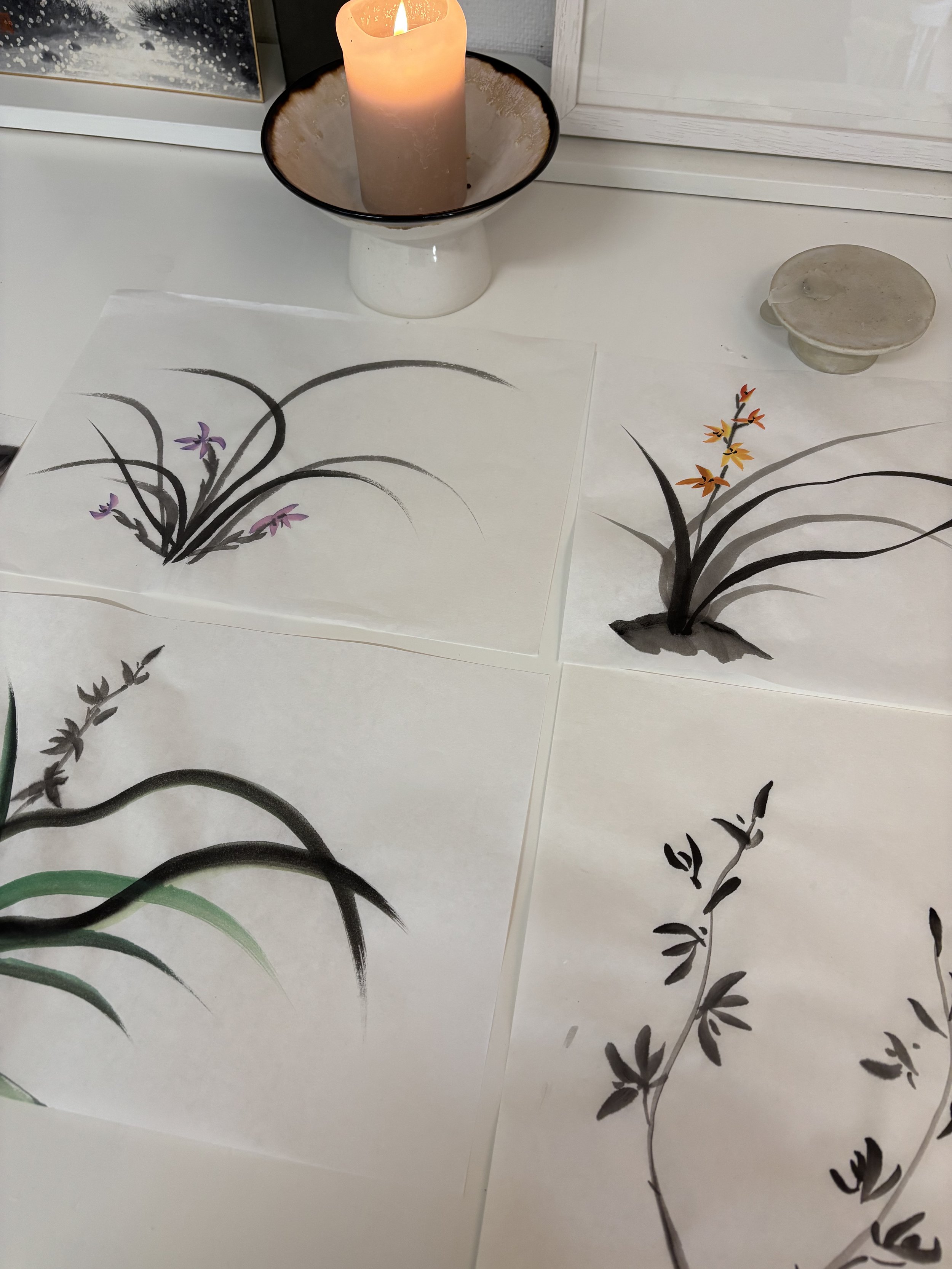 Orchid — The Elegance and Spirit of Spring