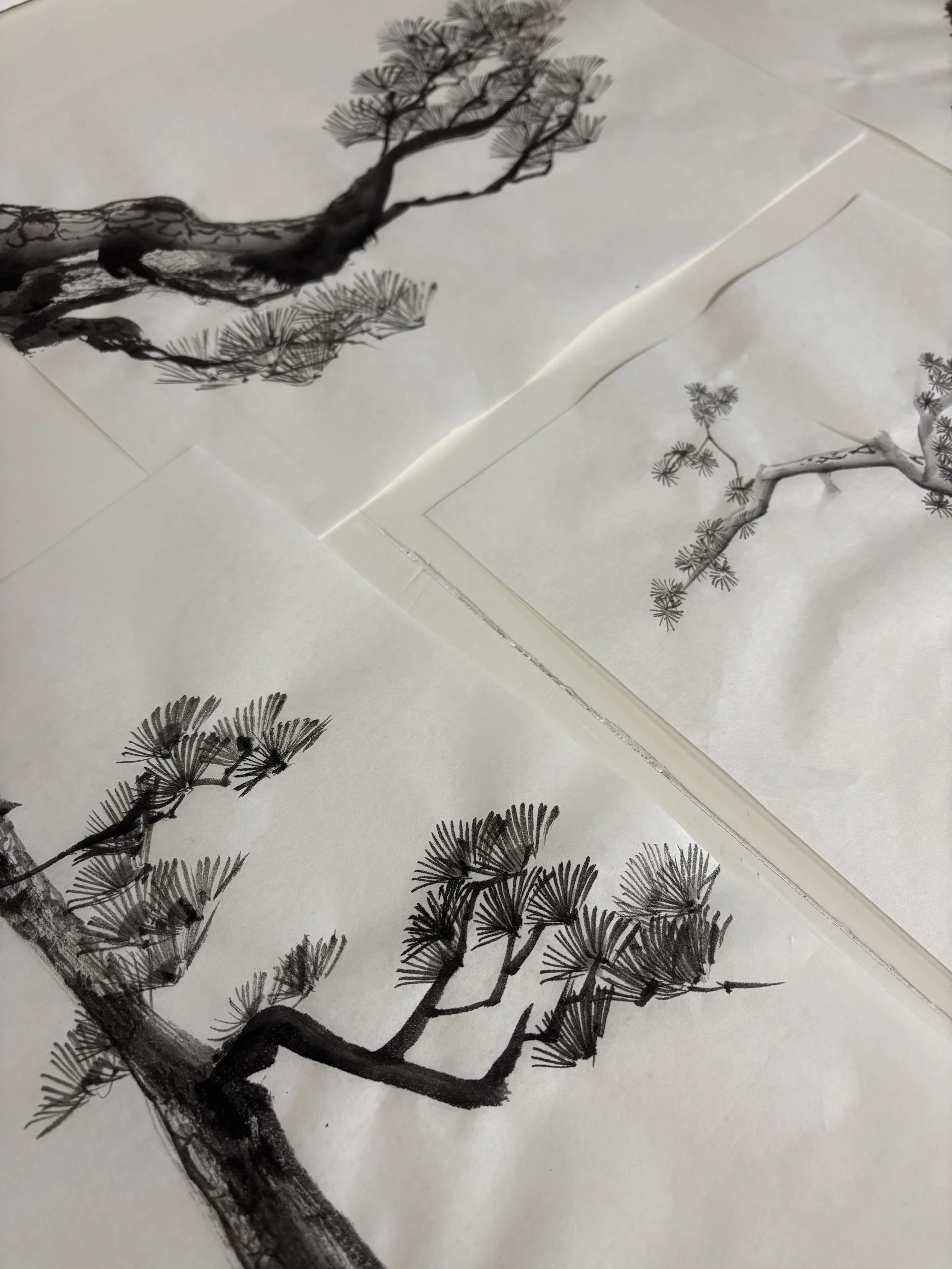 Pine Trees and Kappitsu-hō in Sansuiga