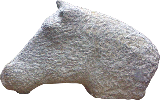 Tête de cheval
