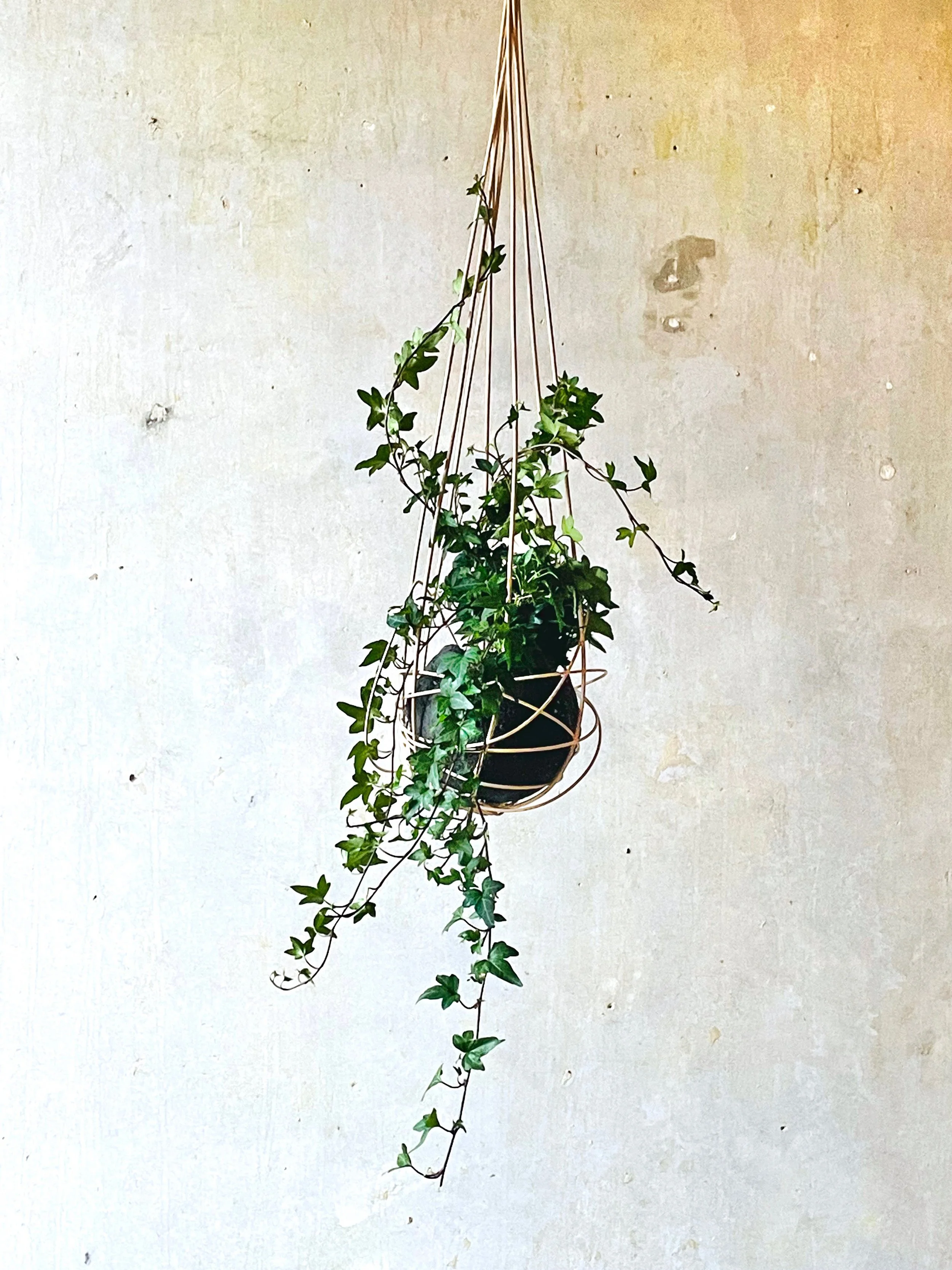 Earthy handmade spherical planters — The Planted House