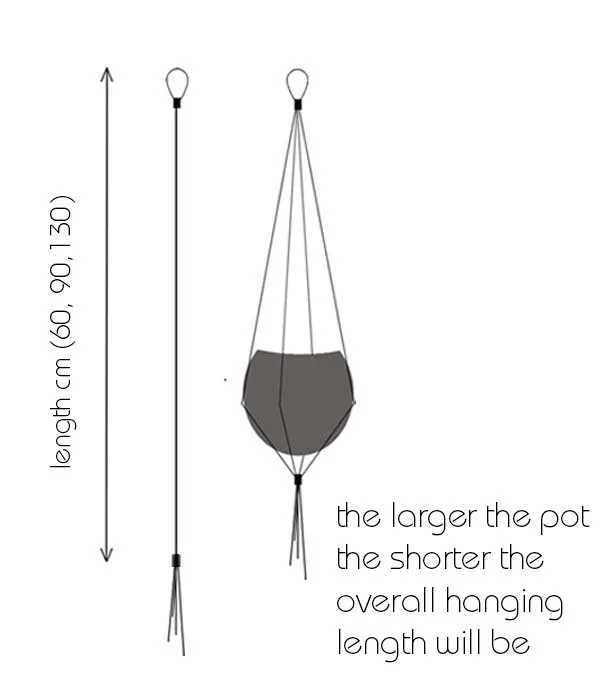 diagram copy.jpg