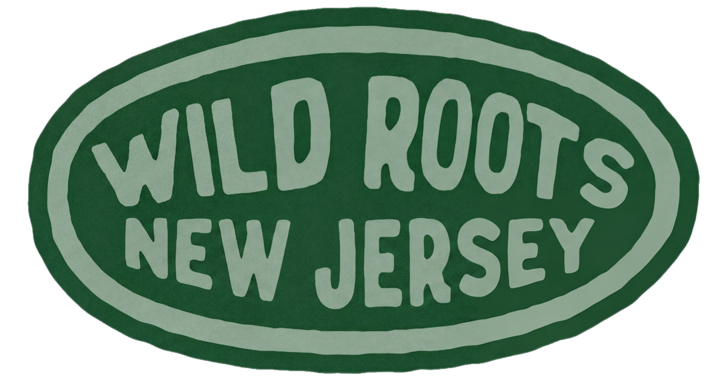 Wild Roots | Native Plants &amp; Arborist Services &mdash; South Jersey