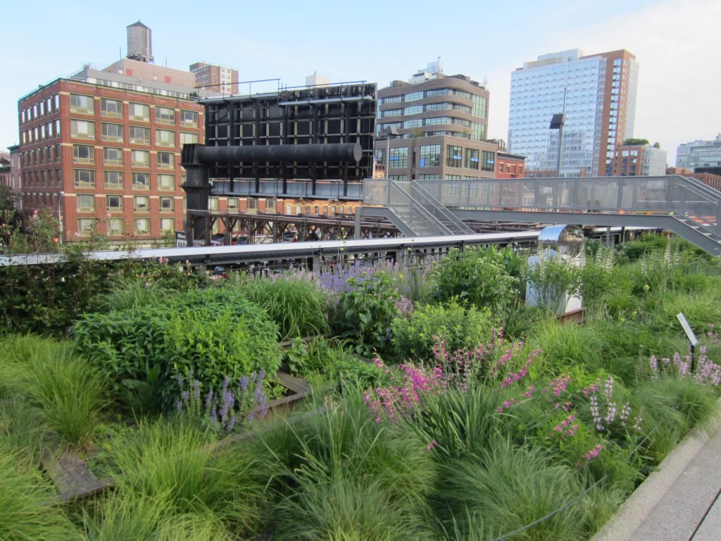  The naturalistic plant communities of New York’s High Line soften and enrich the hard edges of its urban surroundings. Photo credit: Another Believer via Wikimedia Commons 