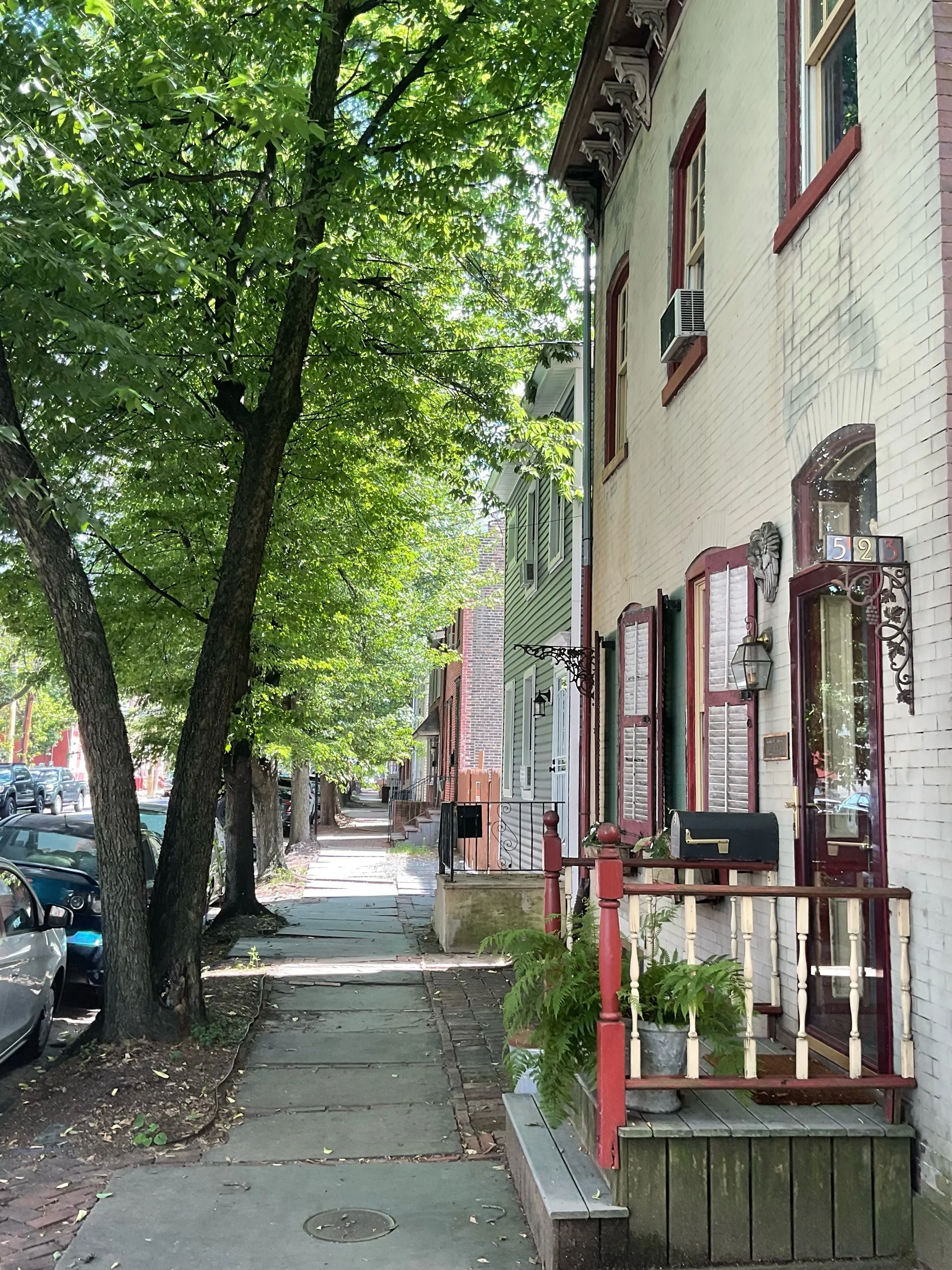 A sidewalk lined with trees and houses on a sunny day.