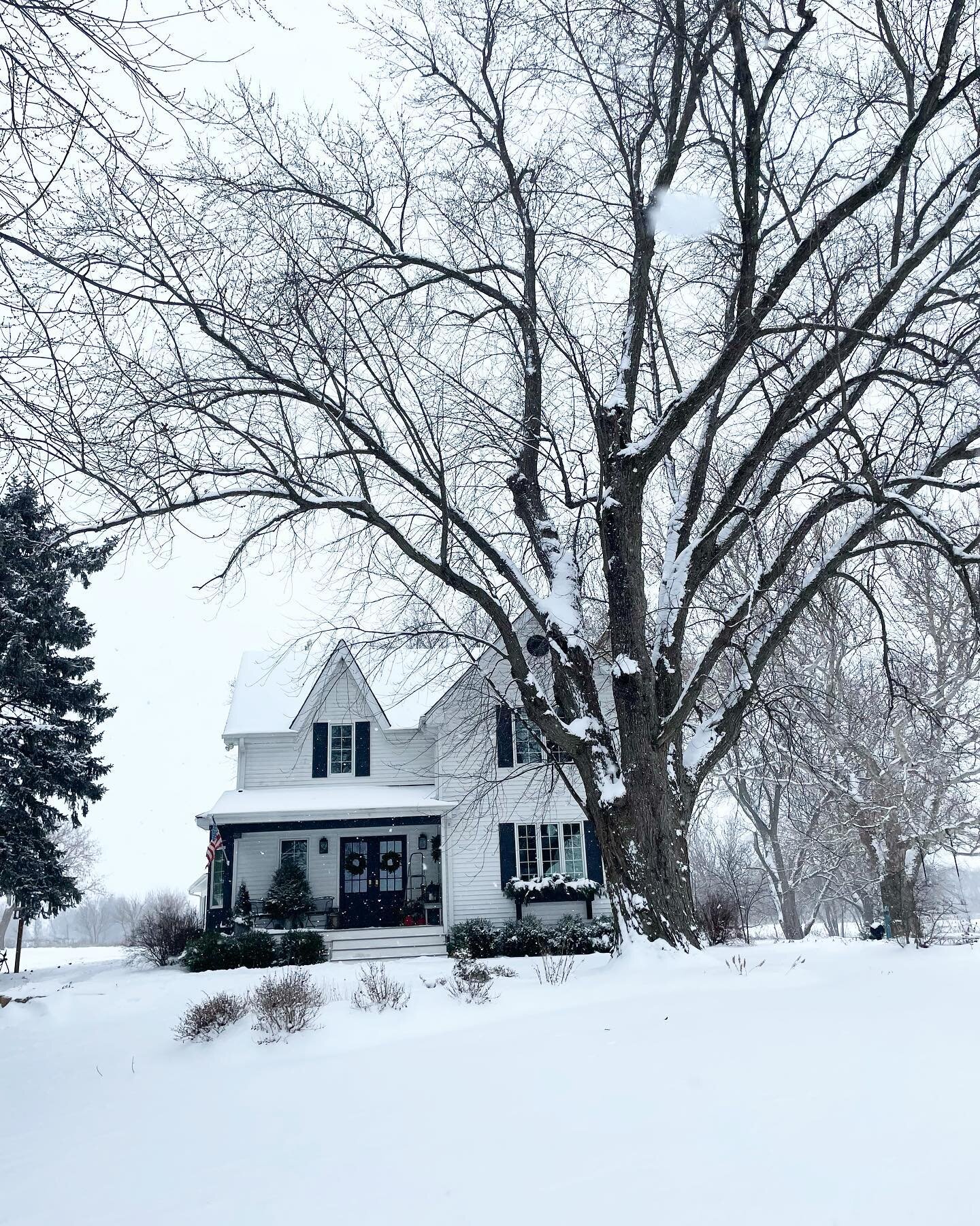 Sometimes winter is beautiful 
 (This is lovely, the drifts of snow in the driveway, not so much)
Enjoy your Sunday, flower friends!
