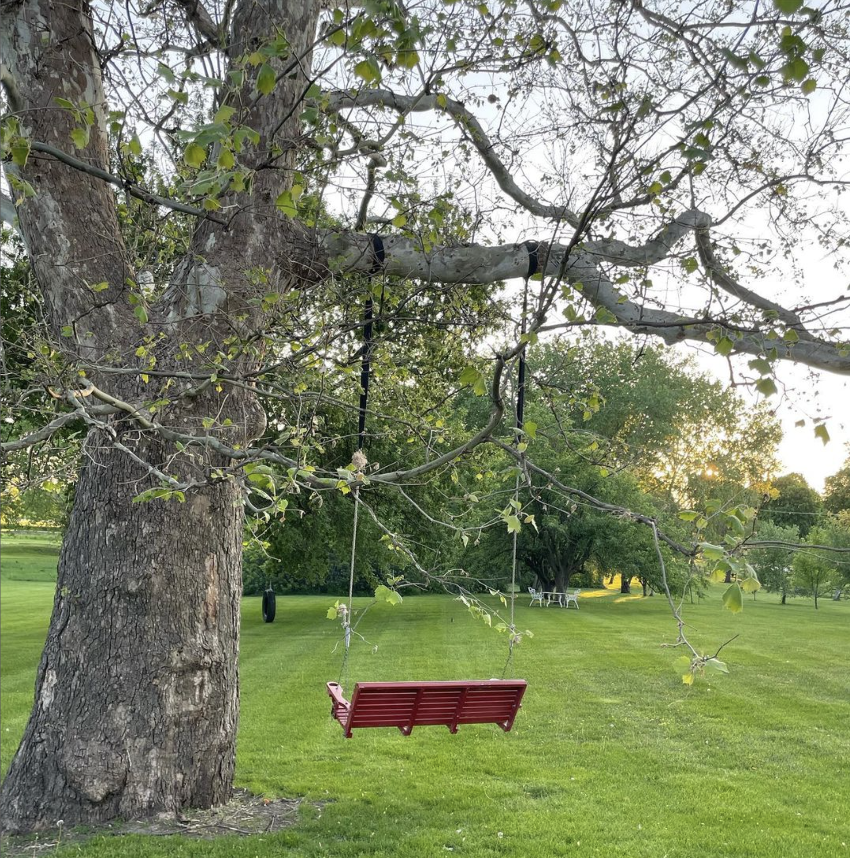 Screen Shot 2024-02-16 at 1.59.43 PM.png