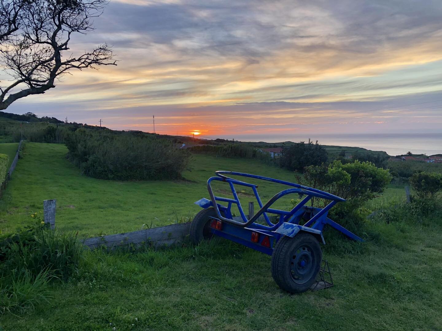 End of another awesome horse-farm day at P&Aacute;TIO Ecolodge at Faial Island. 🌞😊