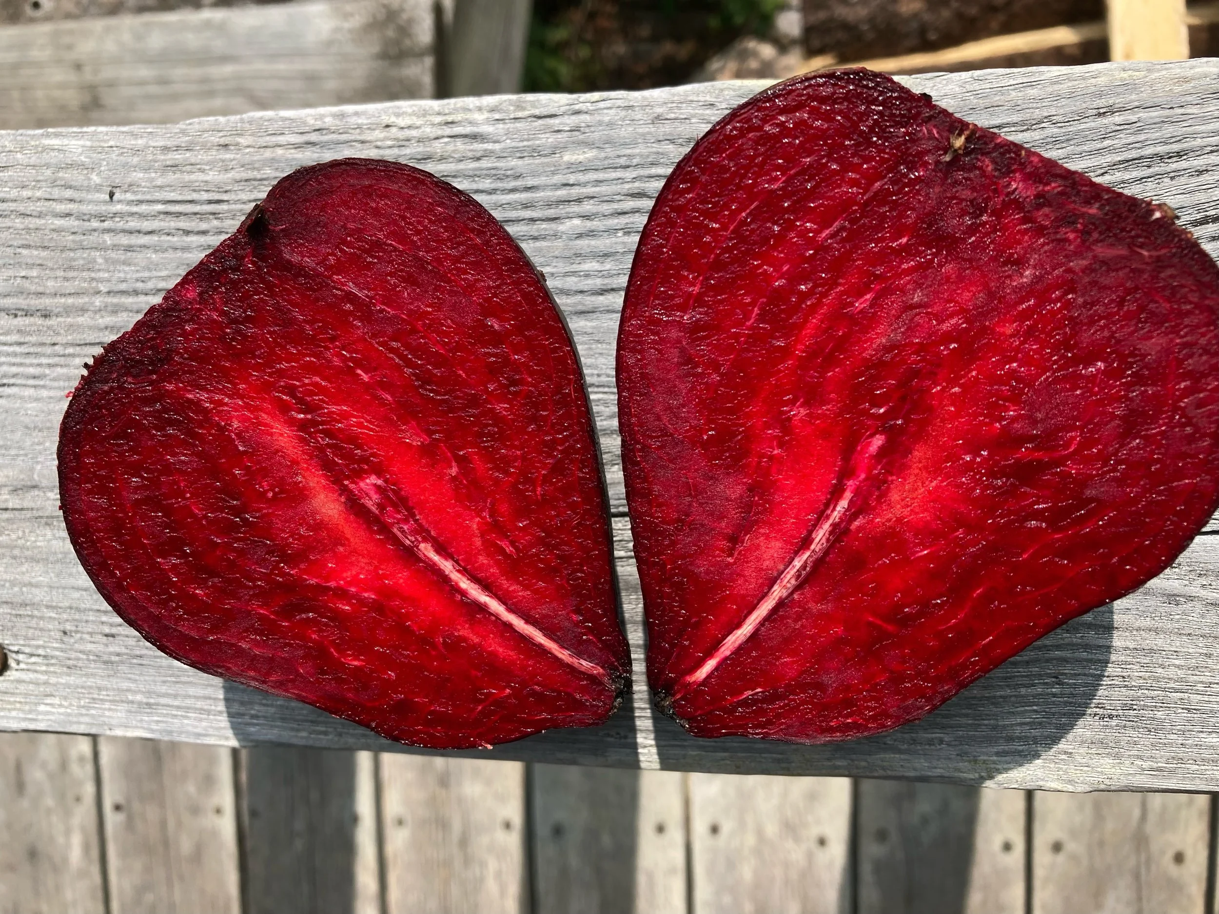 St. Valentine’s Day—February 14, 2022