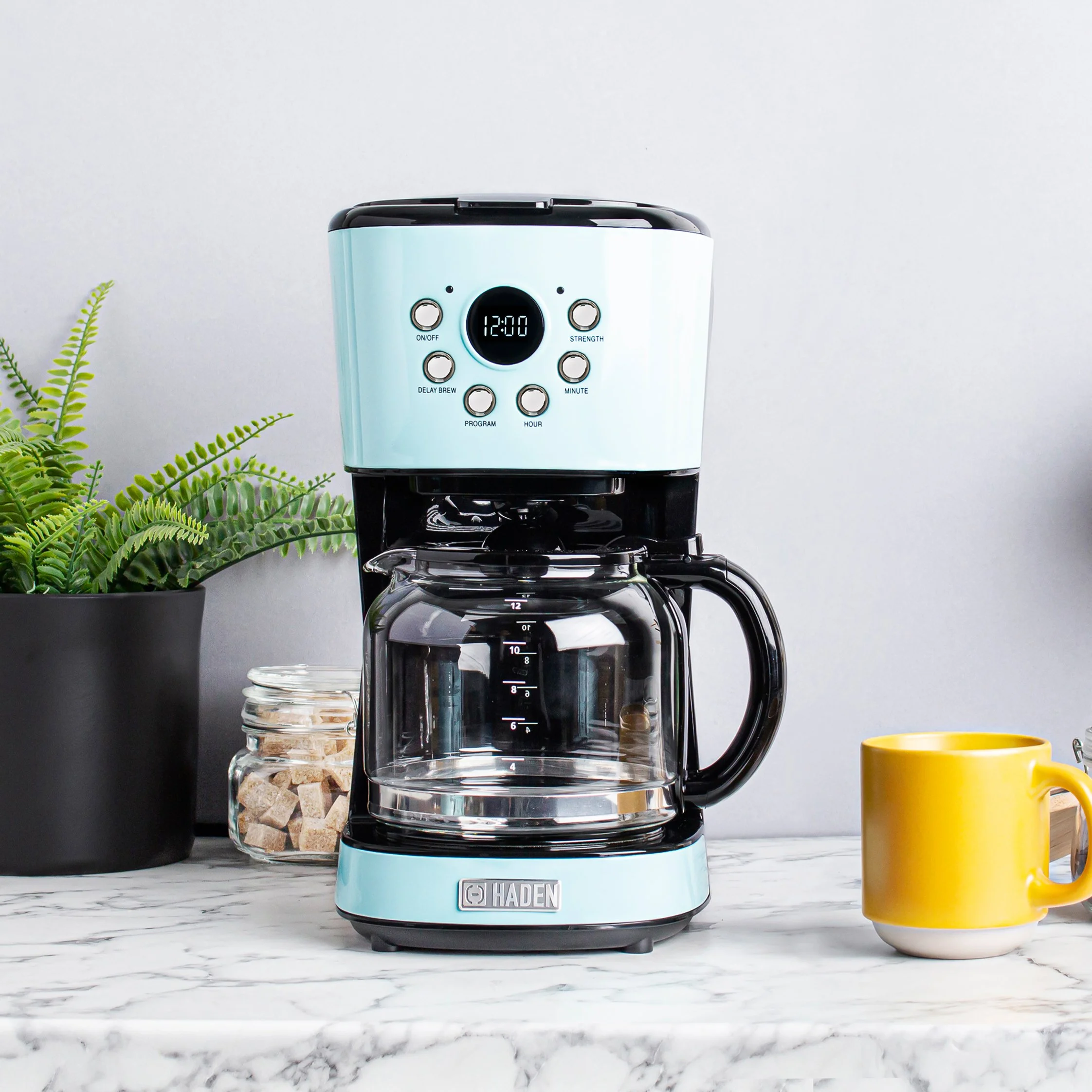 12-Cup Programmable Coffee Maker with 