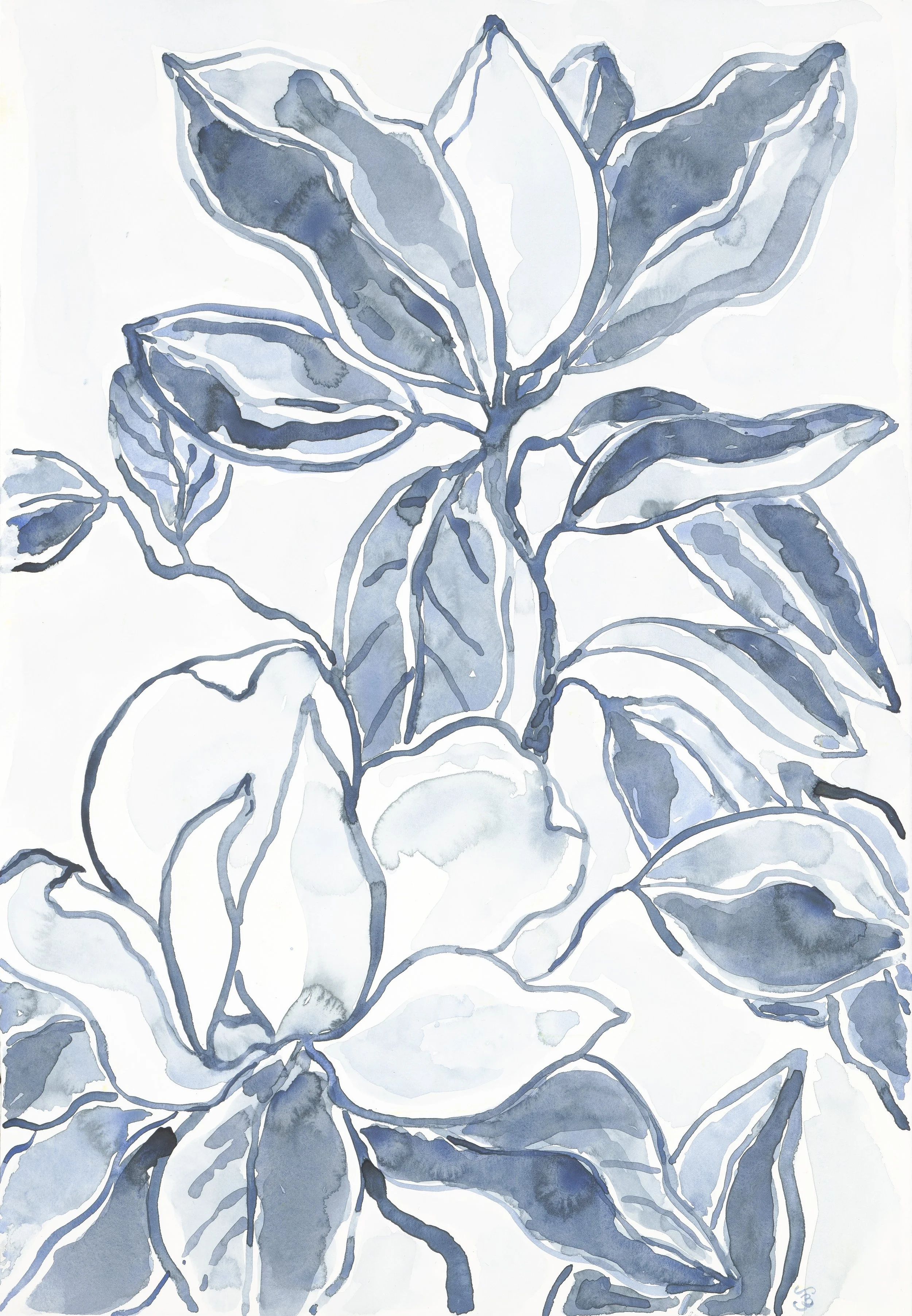 Magnolia in blue.jpg