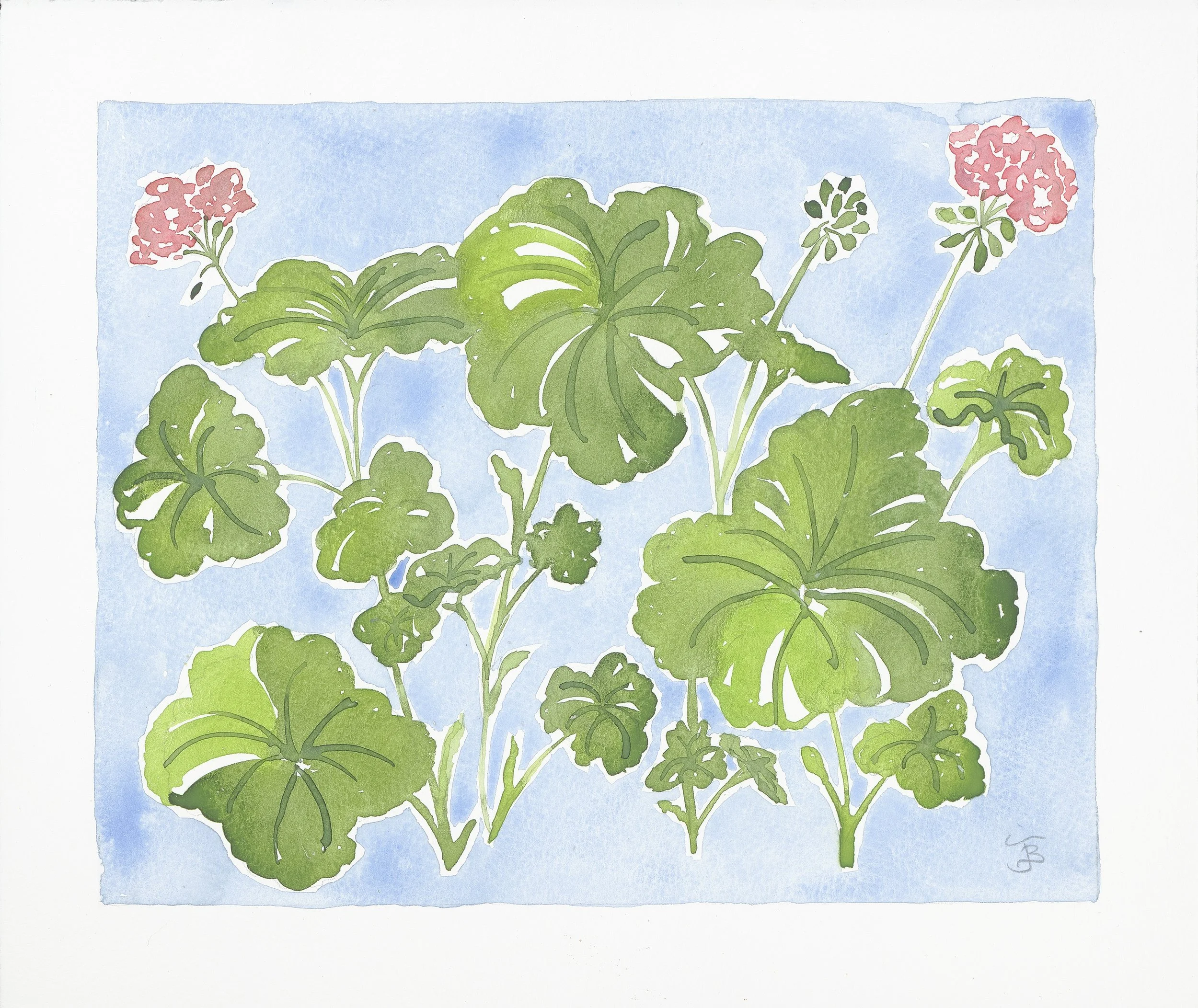 geranium on blue.jpg