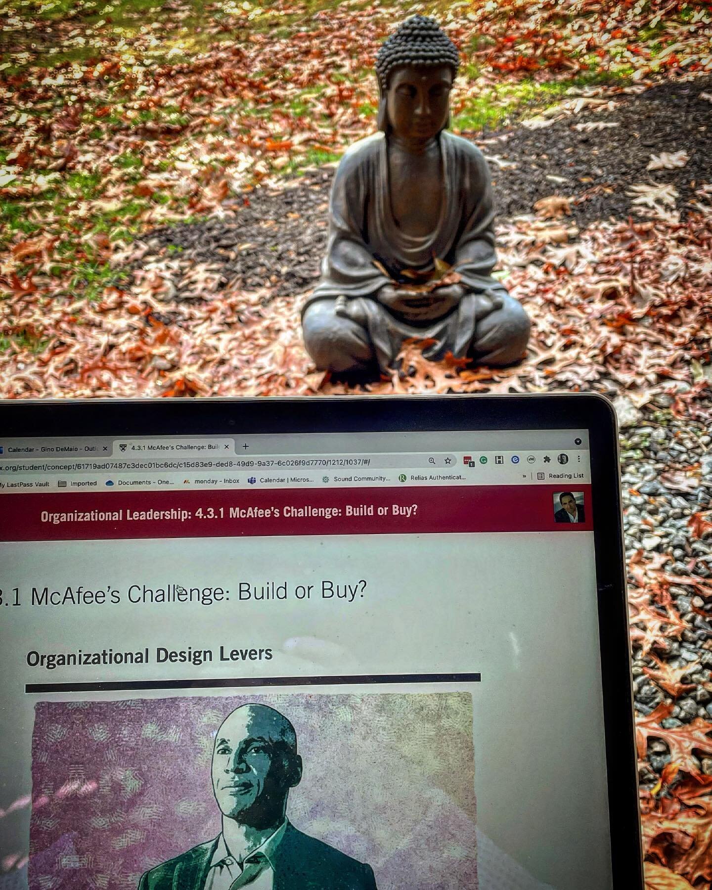 During the reflection part of this assignment, the question was, where do you #hbsonline on the go? For me it&rsquo;s right outside my home office deck in front of Buddha. #hbsonline #leadershipmatters🙌 #keeppushing #providevalue