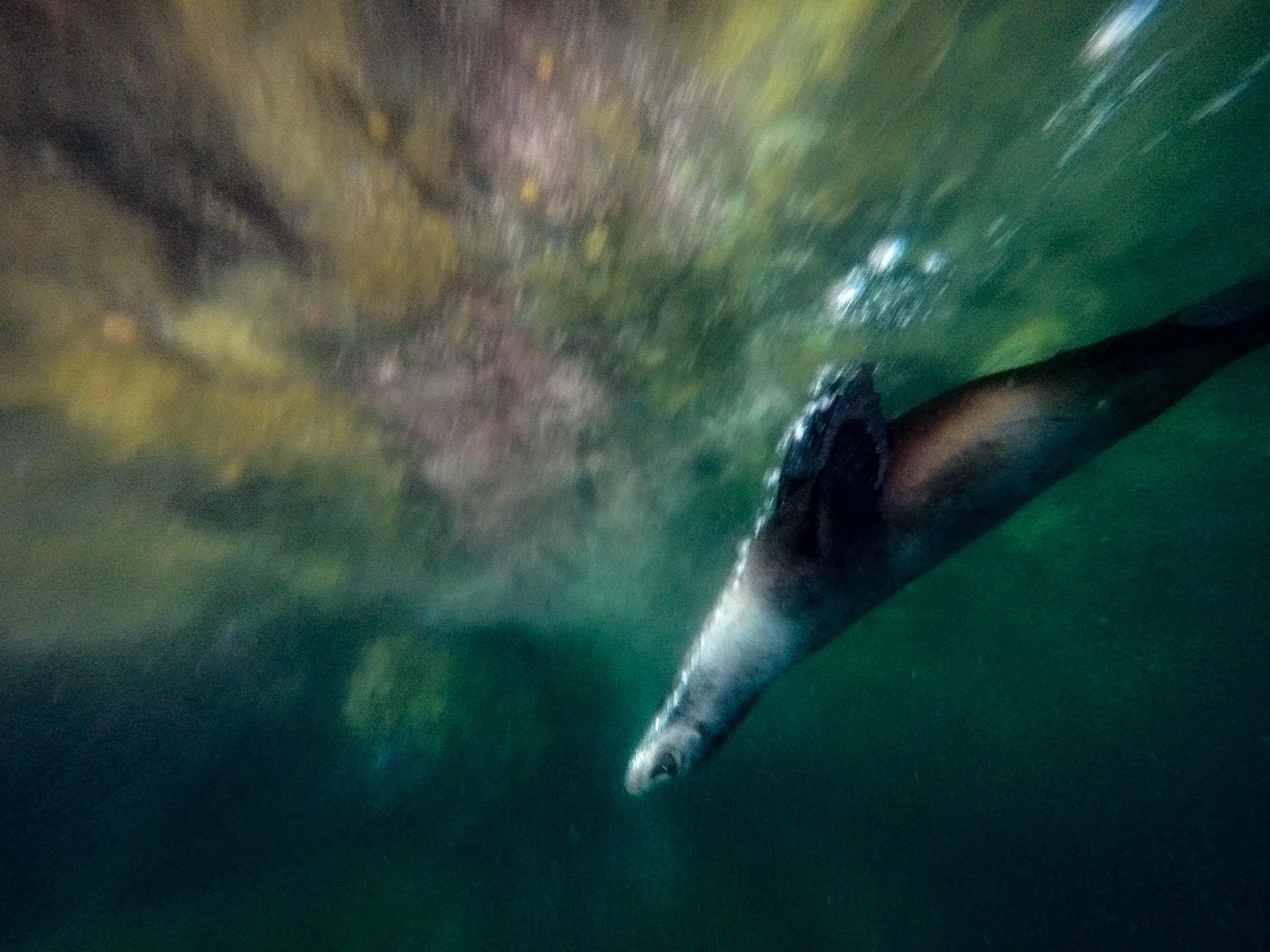  DCIM\100GOPRO\GOPR1700. 