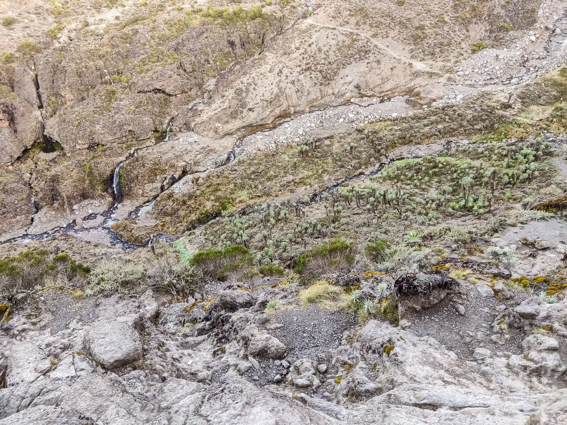 01 Barranco Camp - Barafu Basecamp-20220309-014.jpg