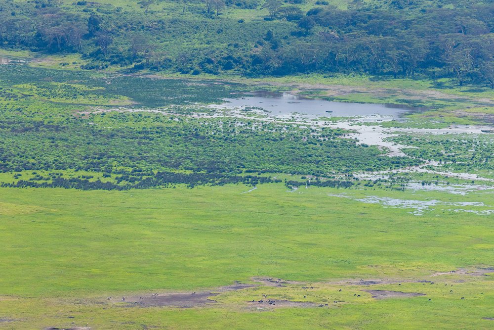 Ngorongoro Crater-20220314-0003.jpg