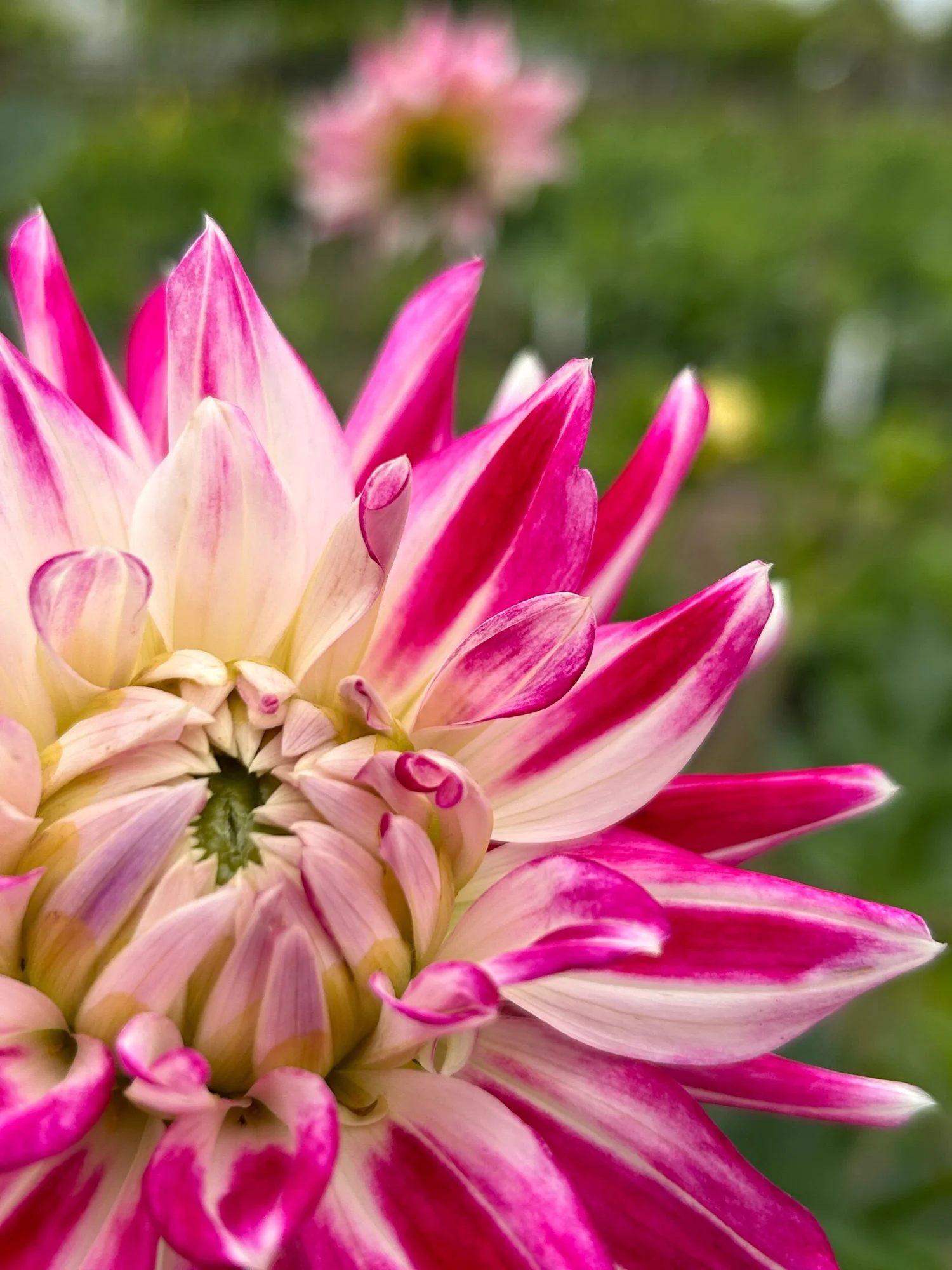 70F2B453-F866-444B-9307-