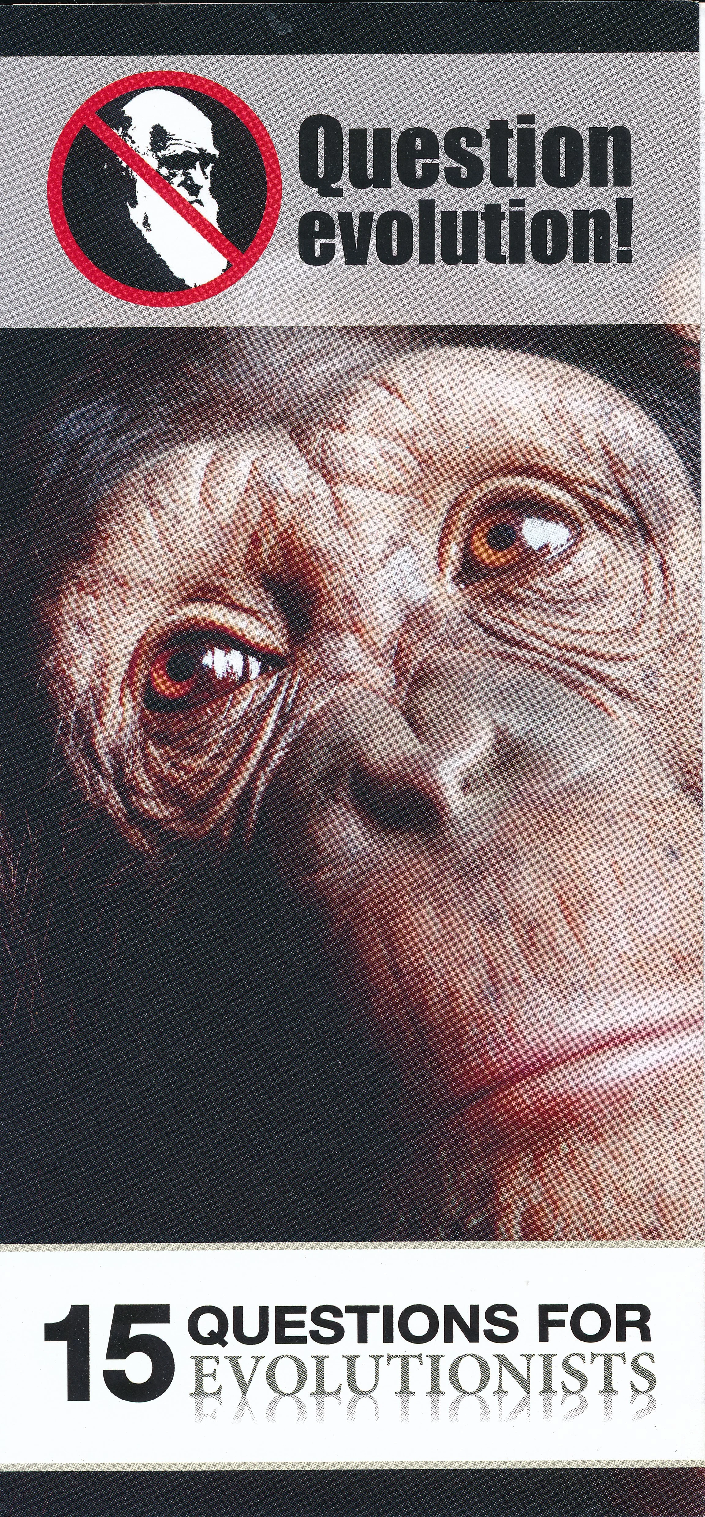 Question Evolution!.jpg