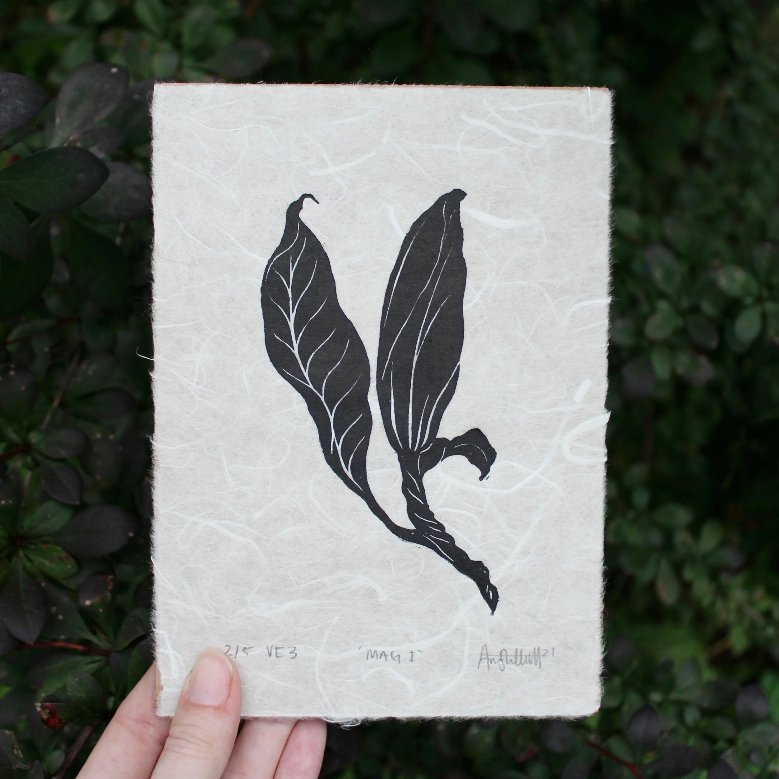 C2492E25-7E31-4251-9A3E-F8C3DC85C9CC