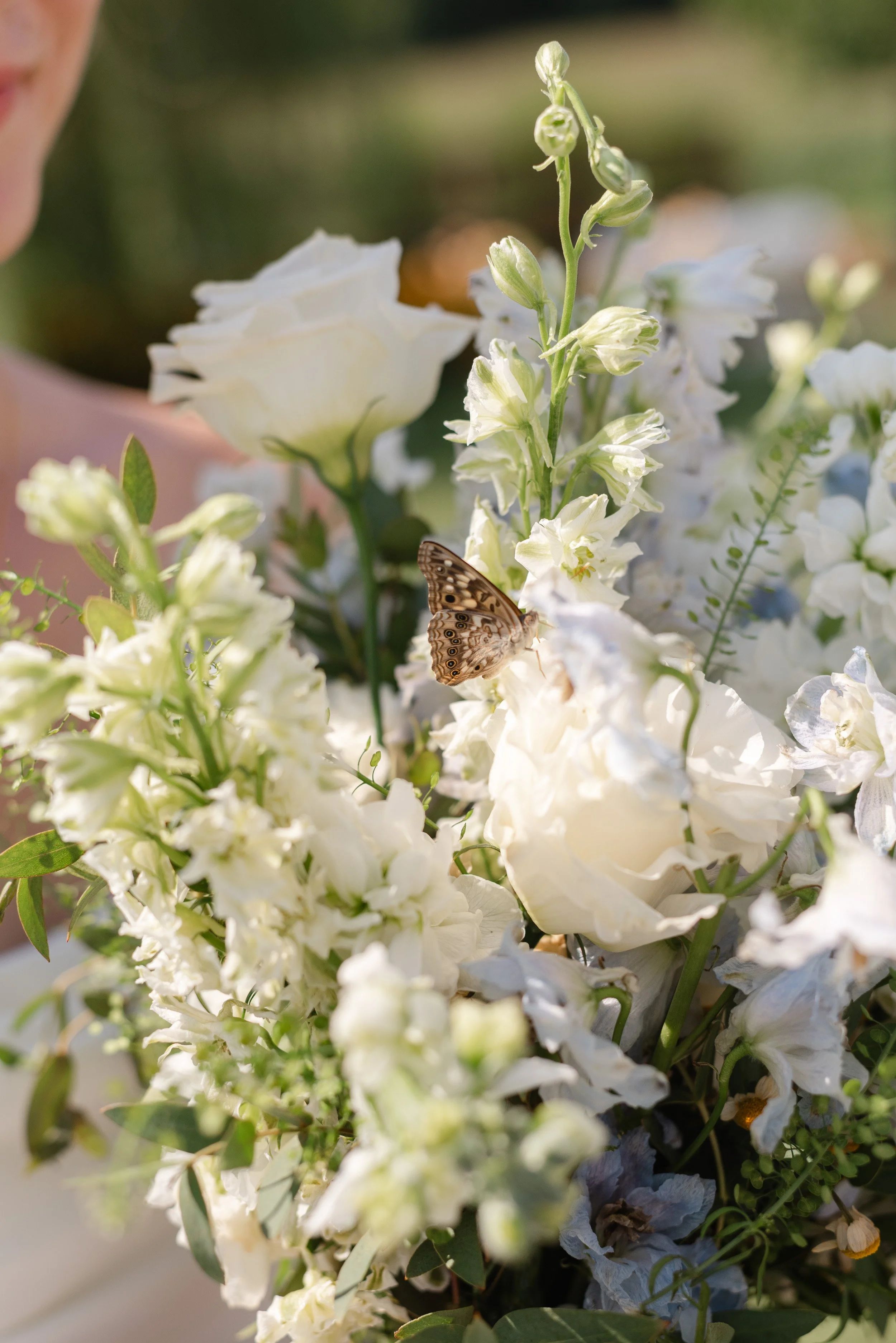 bride and groom -46.jpg