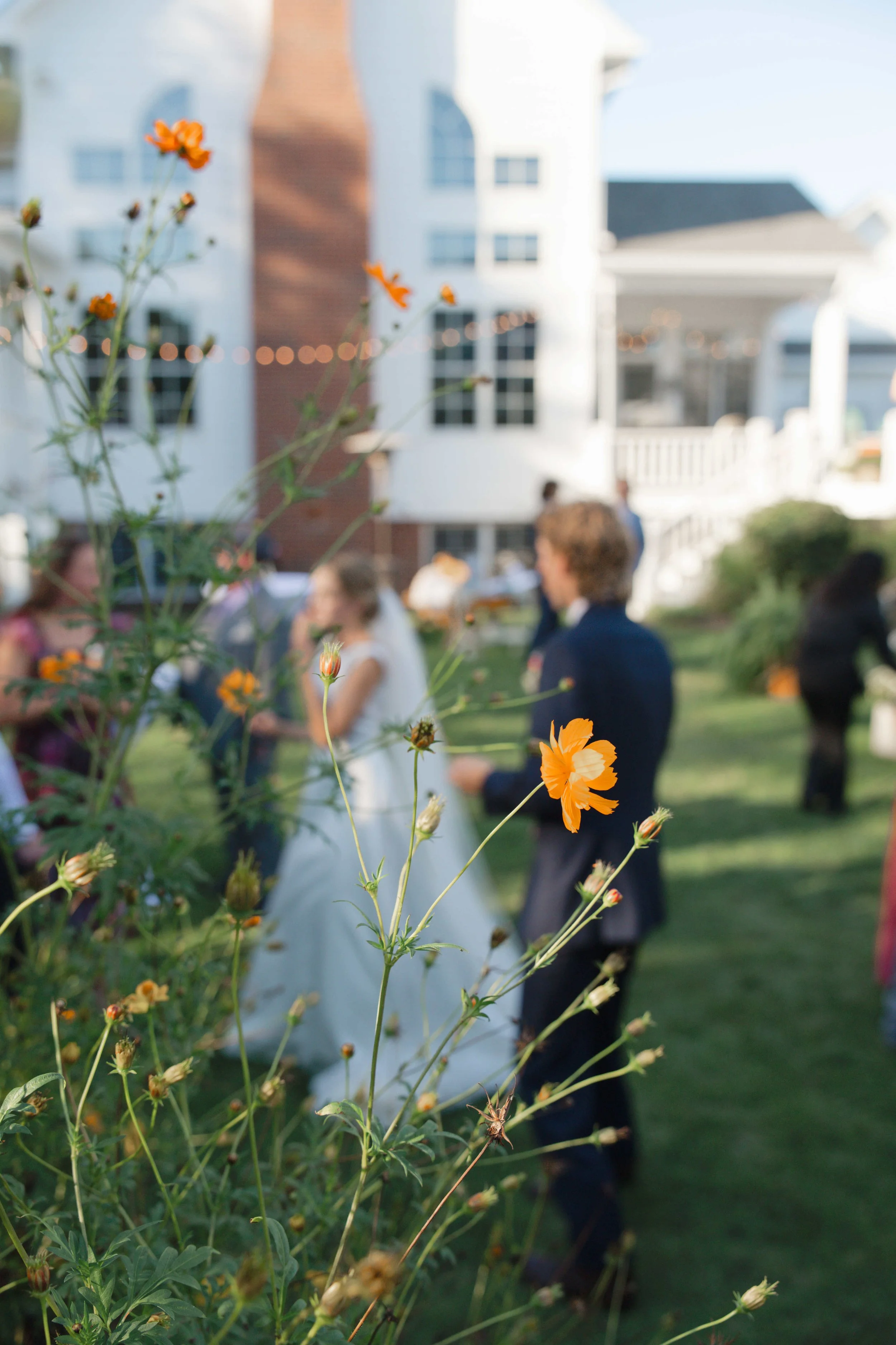 IndianaBackyardGardenWedding-074.jpg