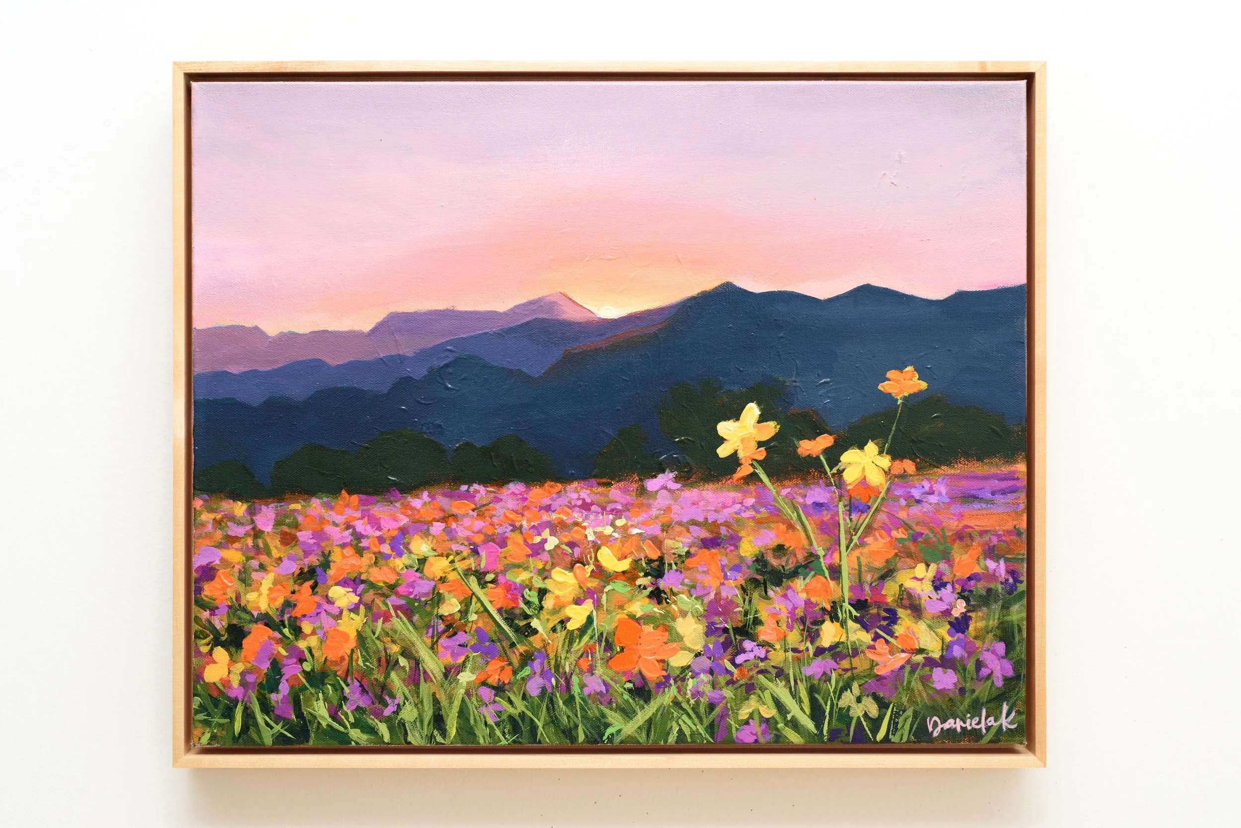 Morning in The Meadow