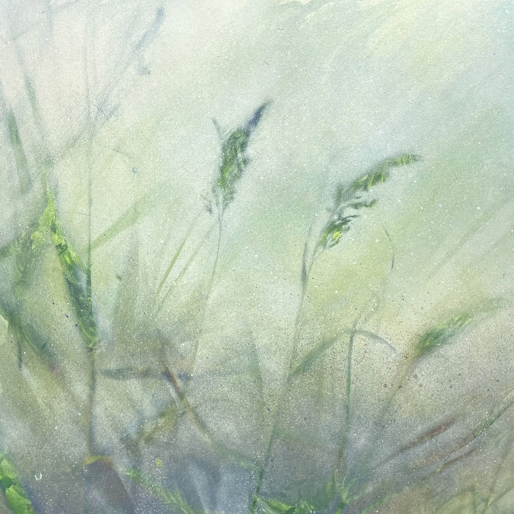 Grasslands; 62 x 62 x 4 cms; acrylic ink and spray paint on canvas
