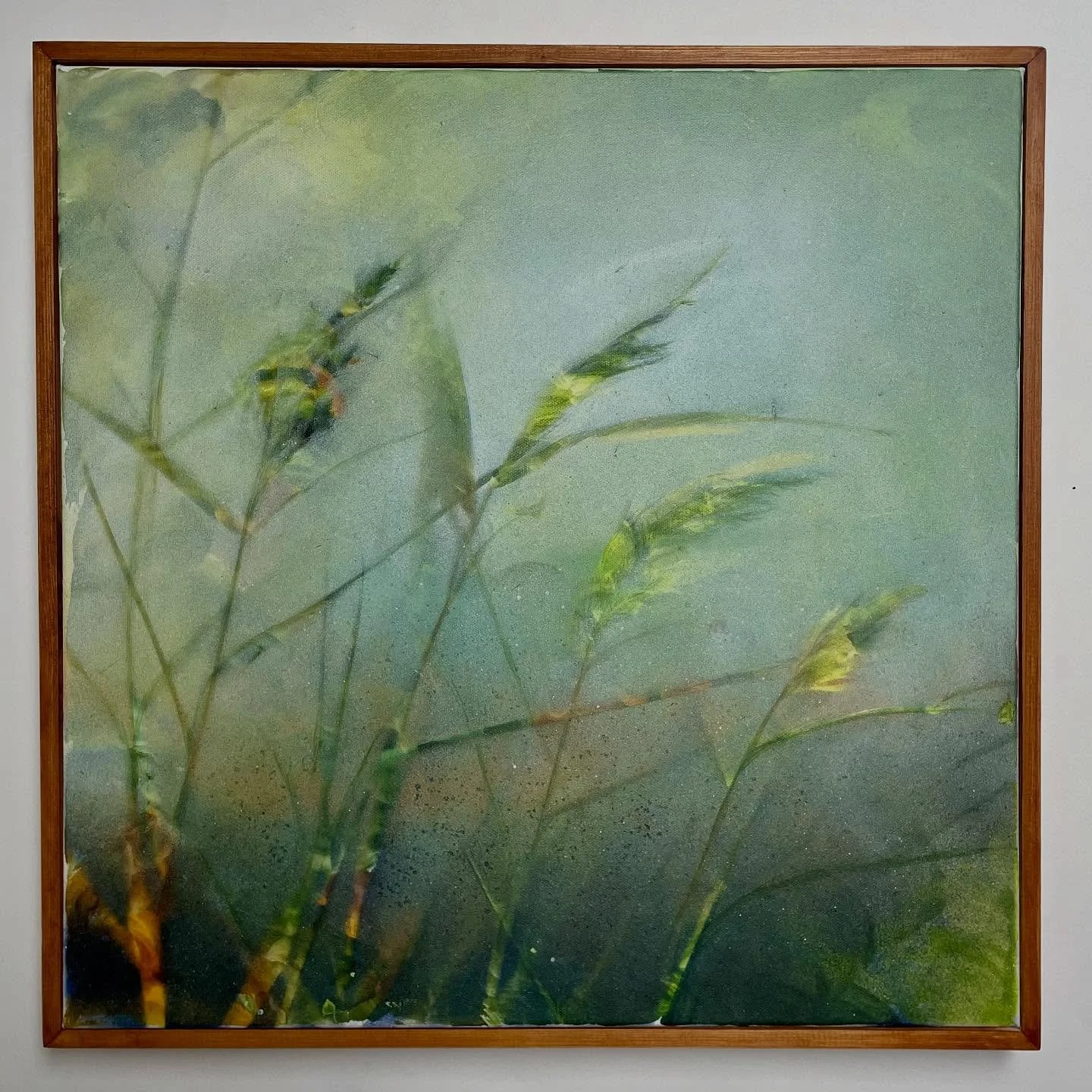 Great to see this one in its new home✨

Summer grasses
50x50cms
Acrylic ink on deep edge canvas