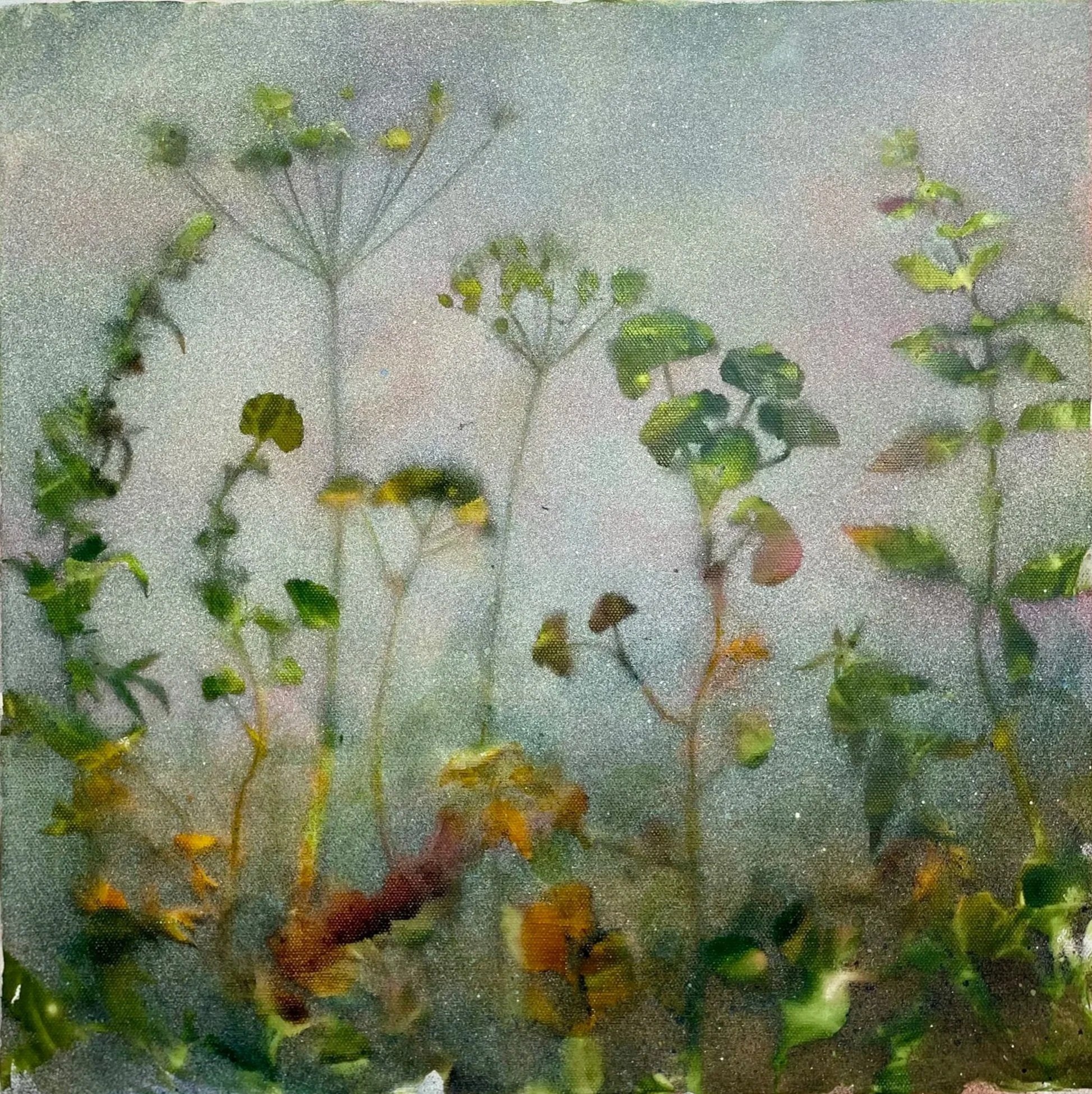 Once upon a misty morning II; 40 x 40 x 4 cms; acrylic ink and water-based spray paint on canvas