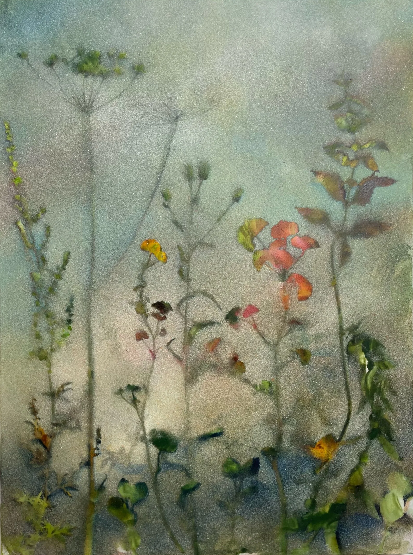 Wild flowers with orange mallow; 48x63x4cms; acrylic ink and water-based spray paint on canvas; SOLD