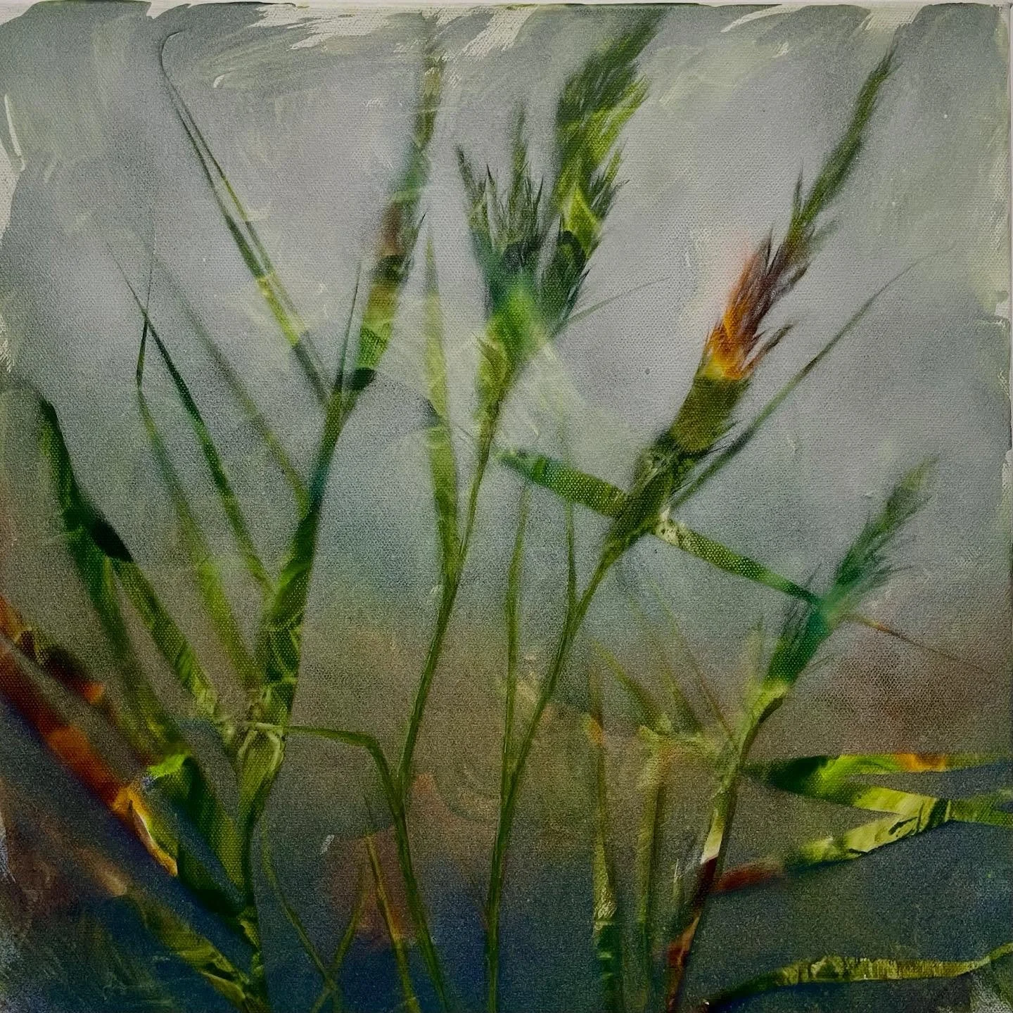 Great seeing this small painting in a new show in Twickenham today. 

My series of grass paintings is well suited to work spaces or anywhere people are chronically online, as a cue to take a moment or to head outside for a reset.

&lsquo;Touching gra
