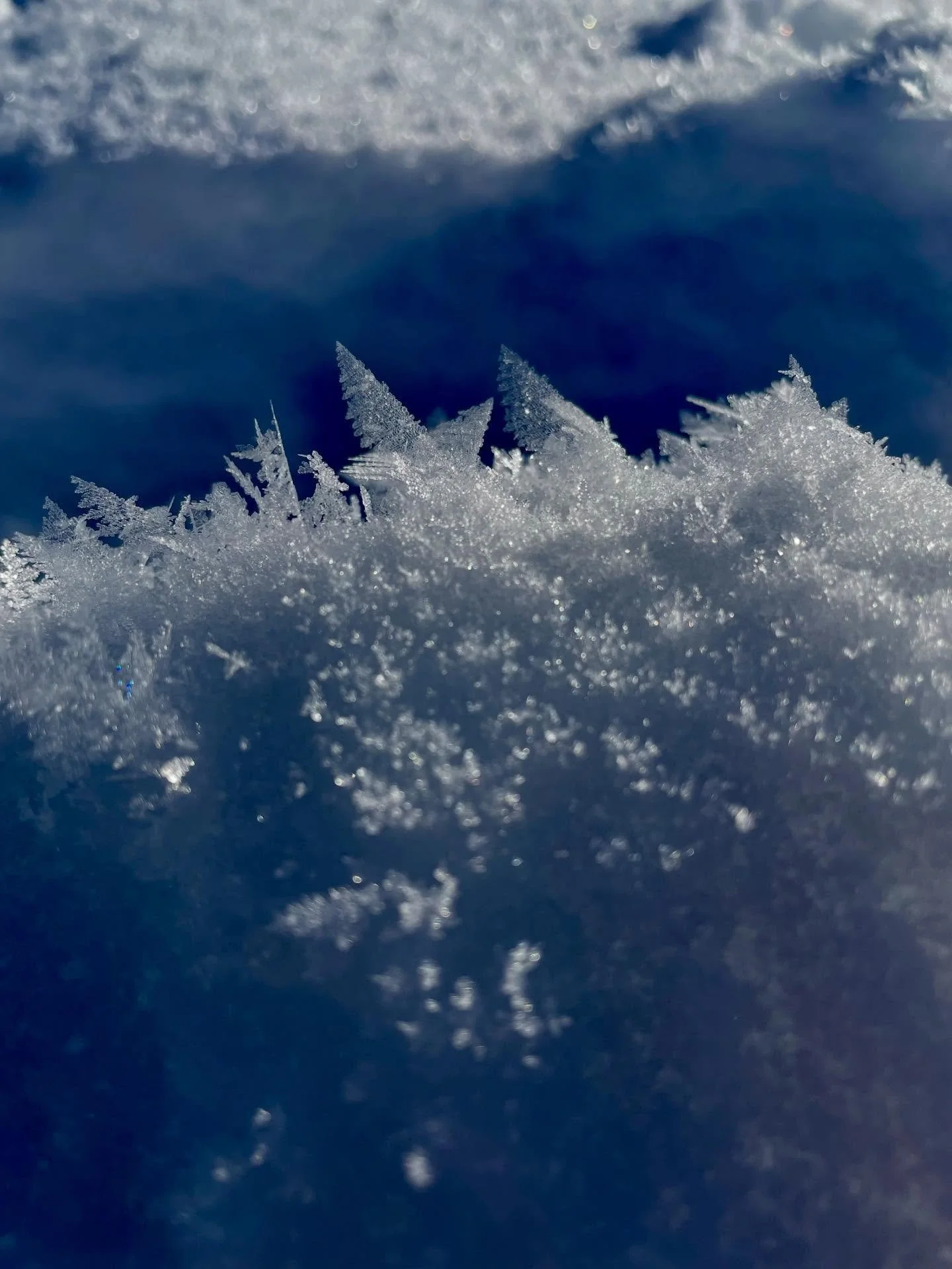 Ice magic ❄️ 🌿I got slightly obsessed by these delicate fernlike ice crystals last year in Davos. Made for some very slow hikes 🥶

#hoarfrost #frosty #icefeathers #winterwalking #icecrystals