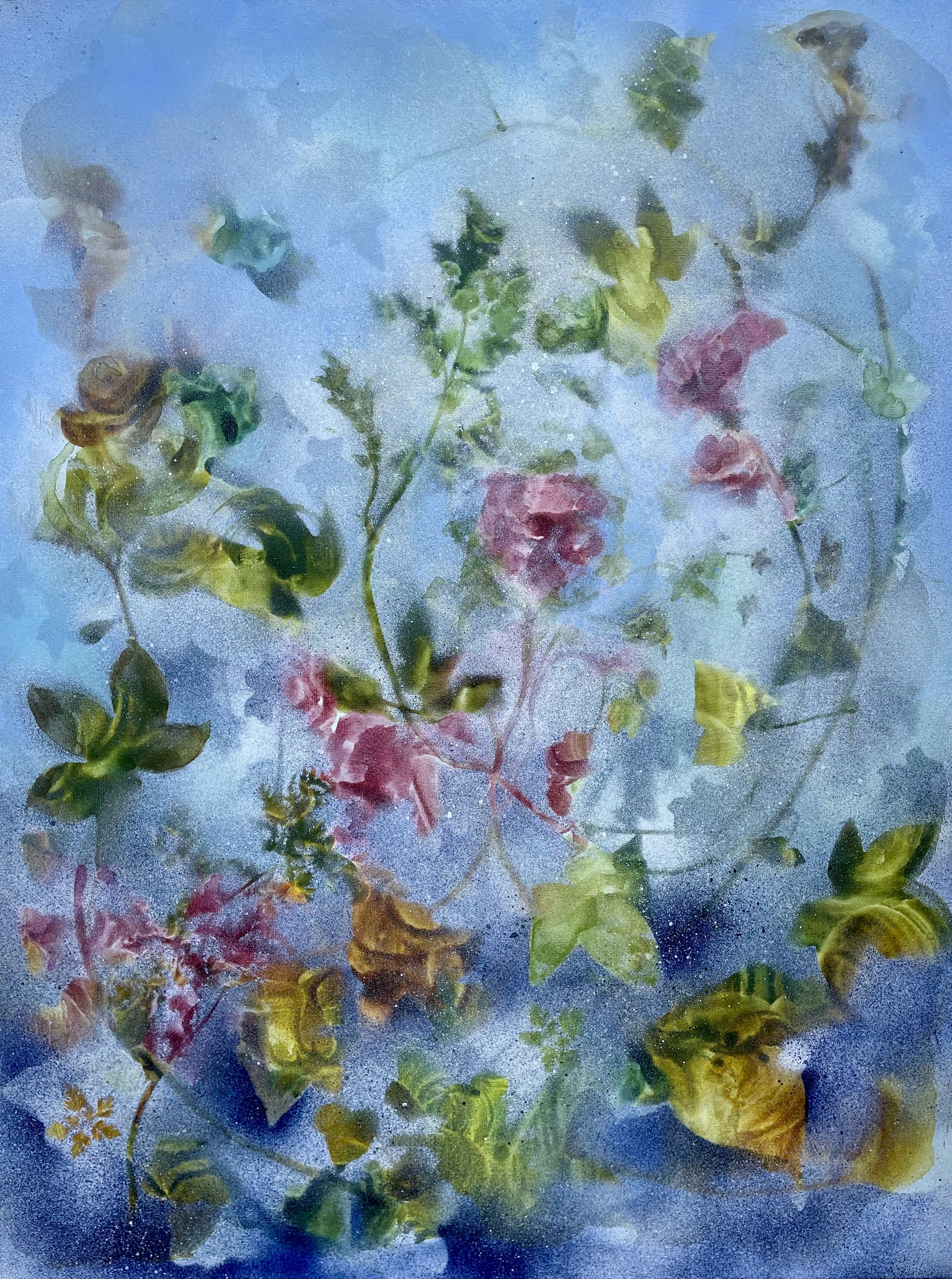 Queen Charlotte's Garden XVI; acrylic ink and water-based spray paint on canvas; 45.5 x 61 x 4 cms