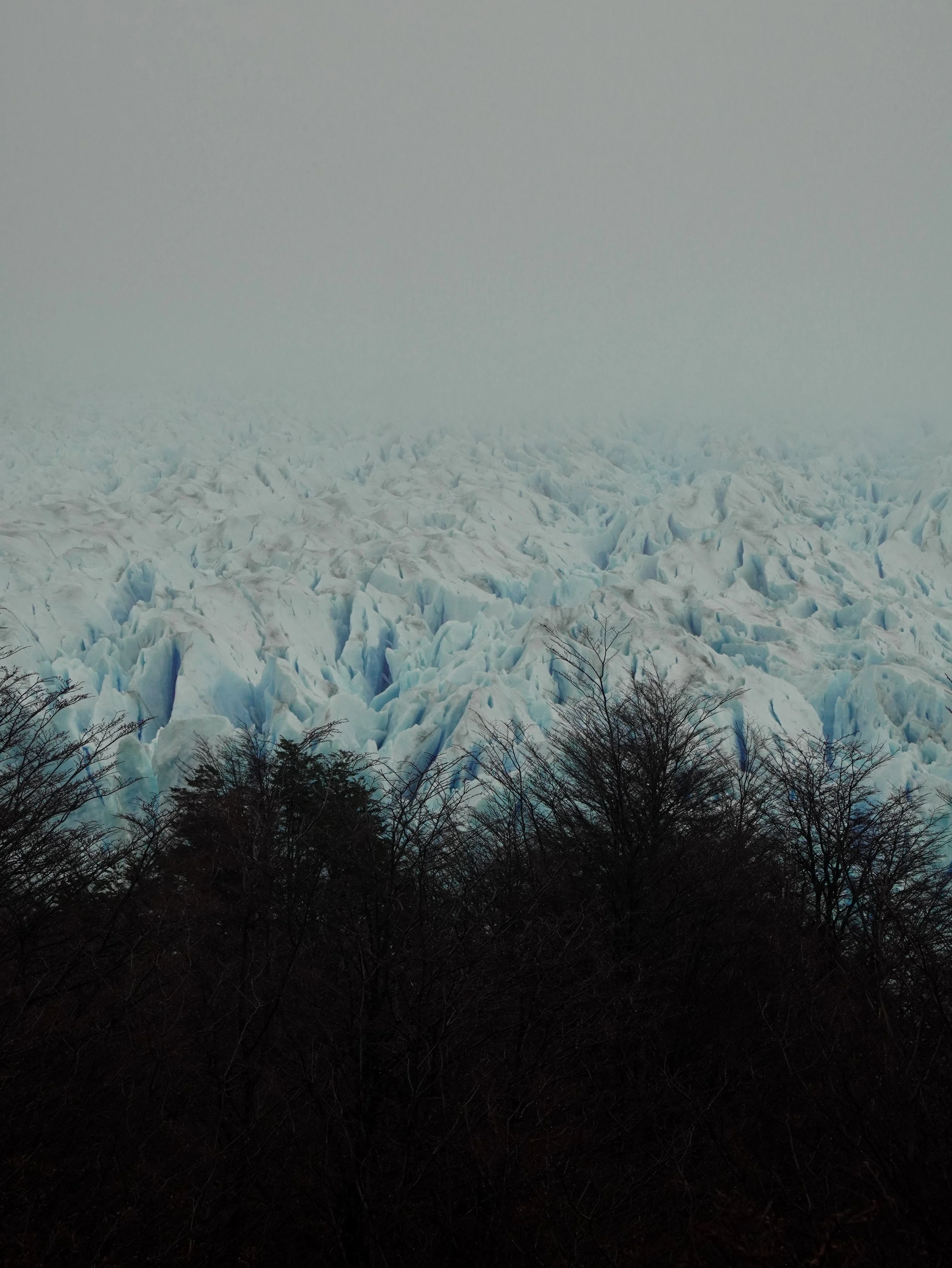 DSC02054.JPG