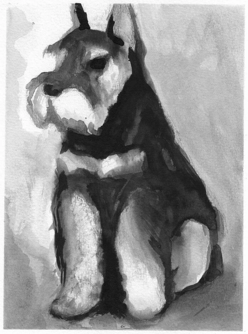 Tintachina final perro.jpeg