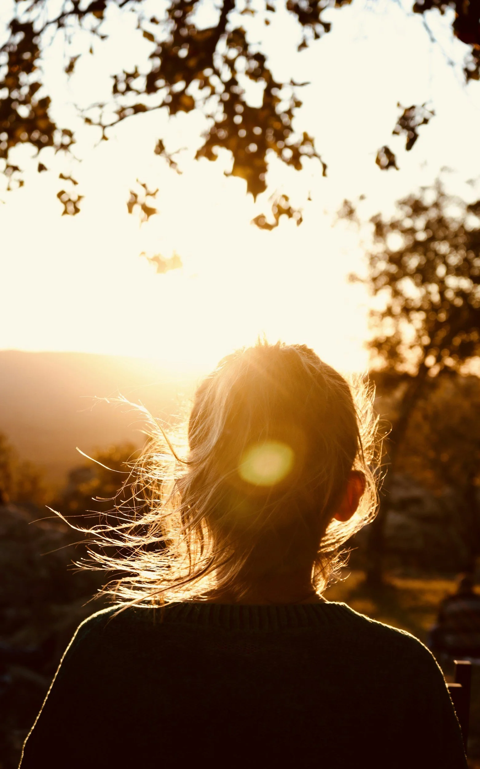 Circadian biology, part 1
