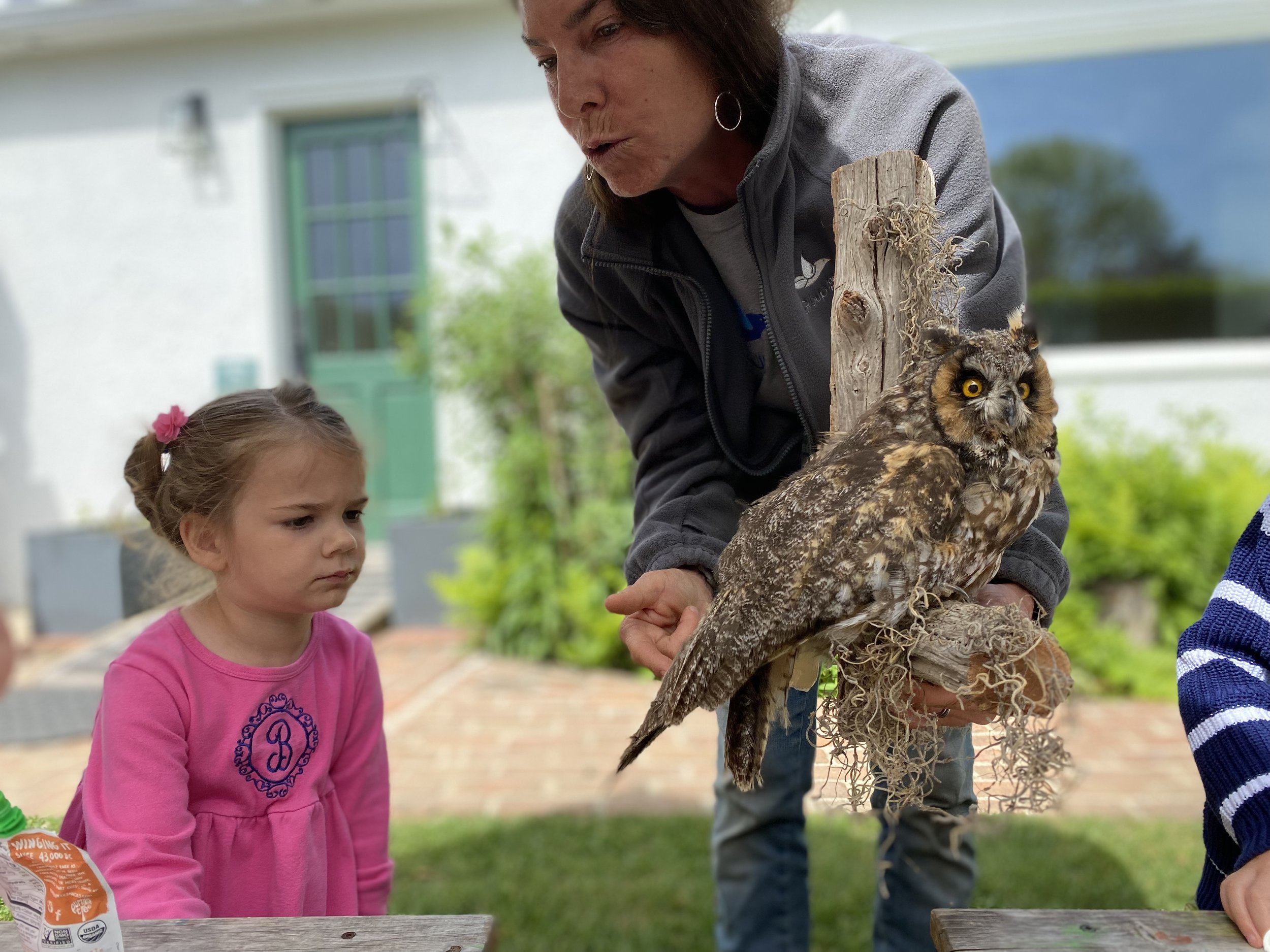 Environmental Education for Kids